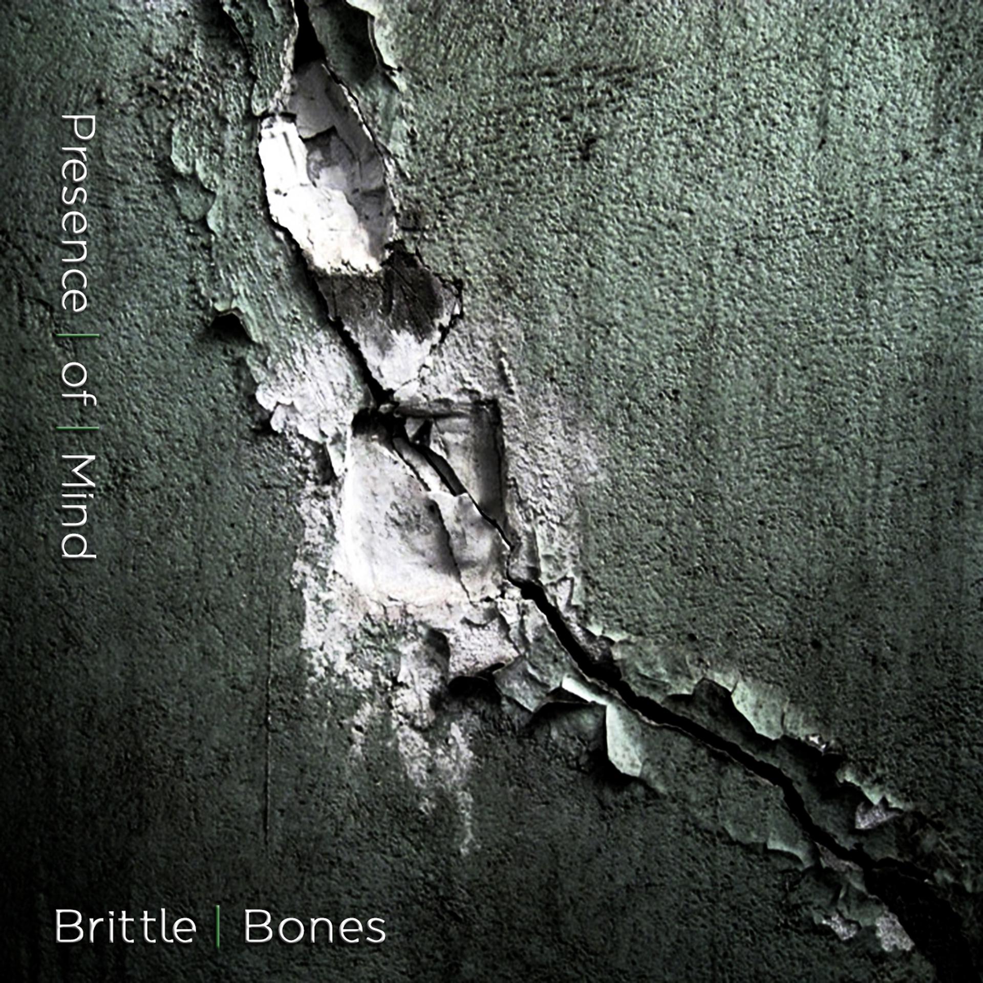 Постер альбома Brittle Bones