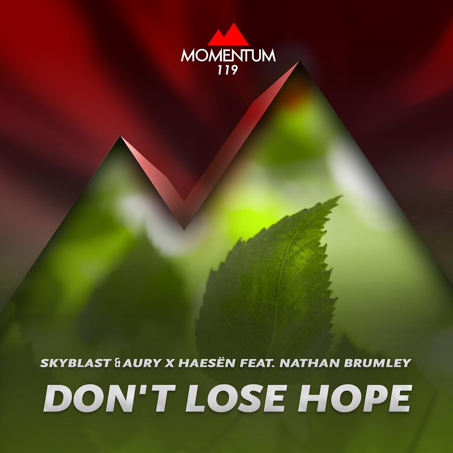 Постер альбома Don't Lose Hope