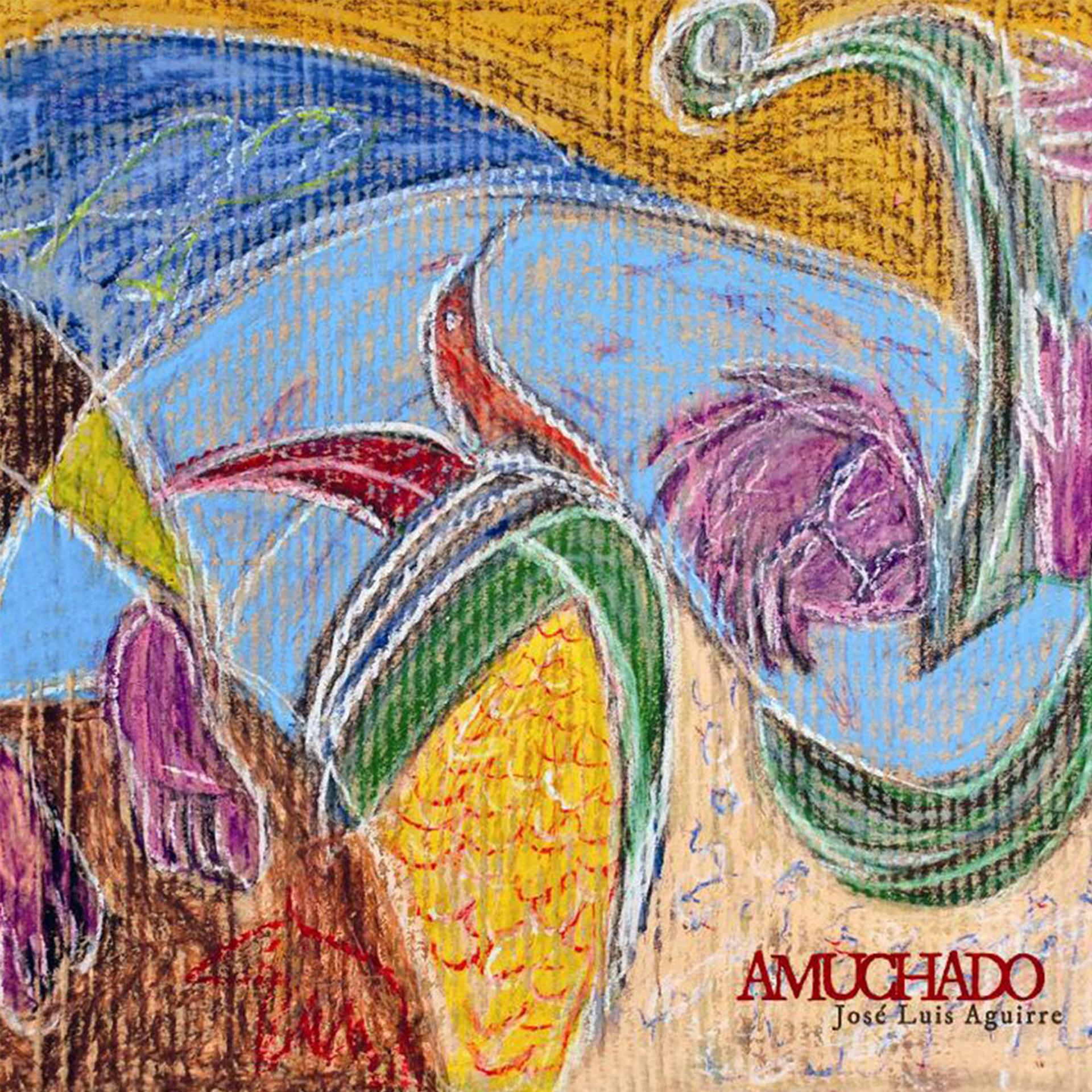 Постер альбома Amuchado