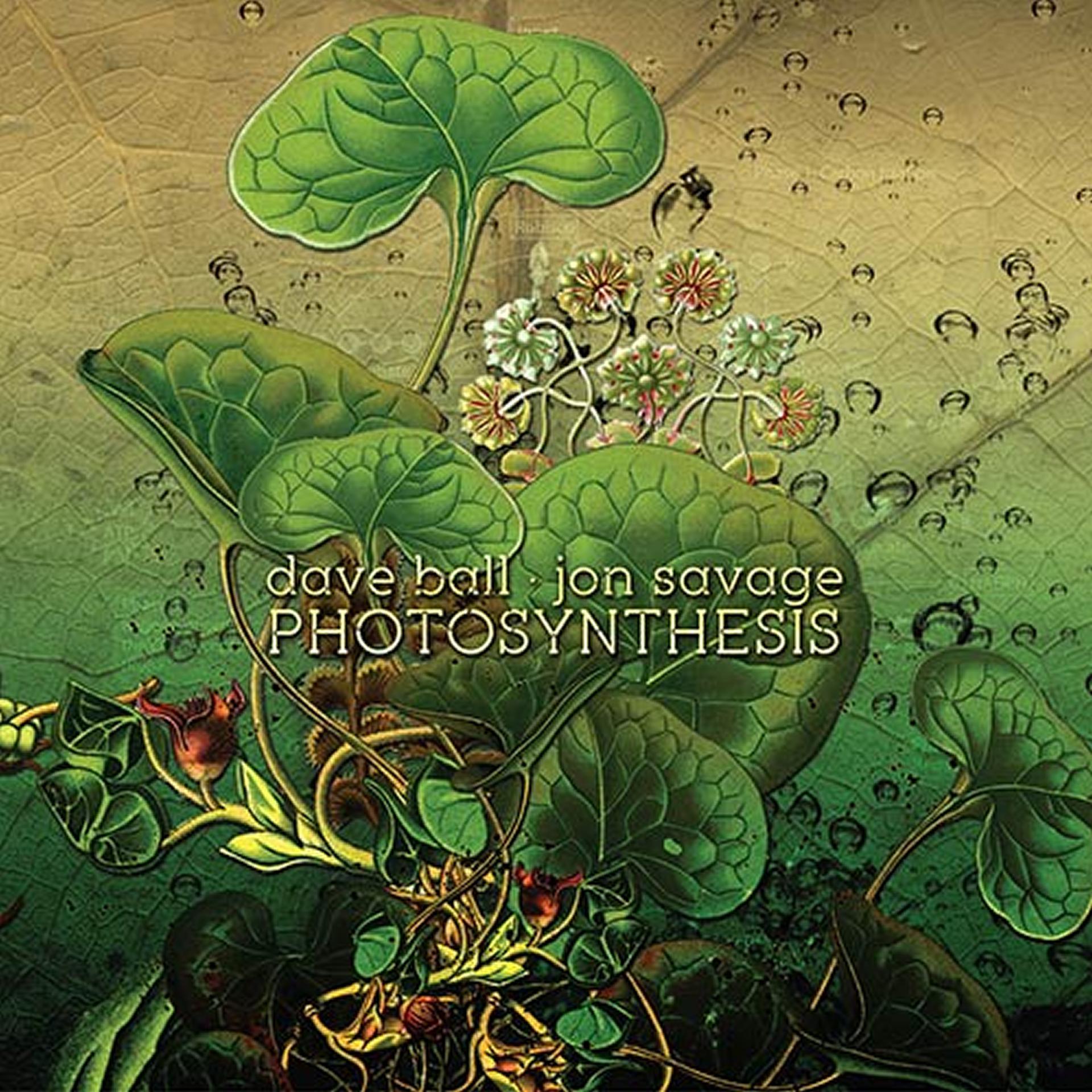 Постер альбома Photosynthesis