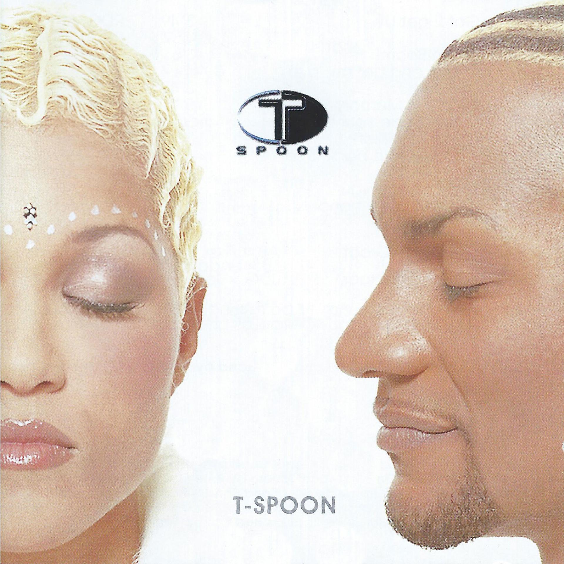 Постер альбома T-Spoon