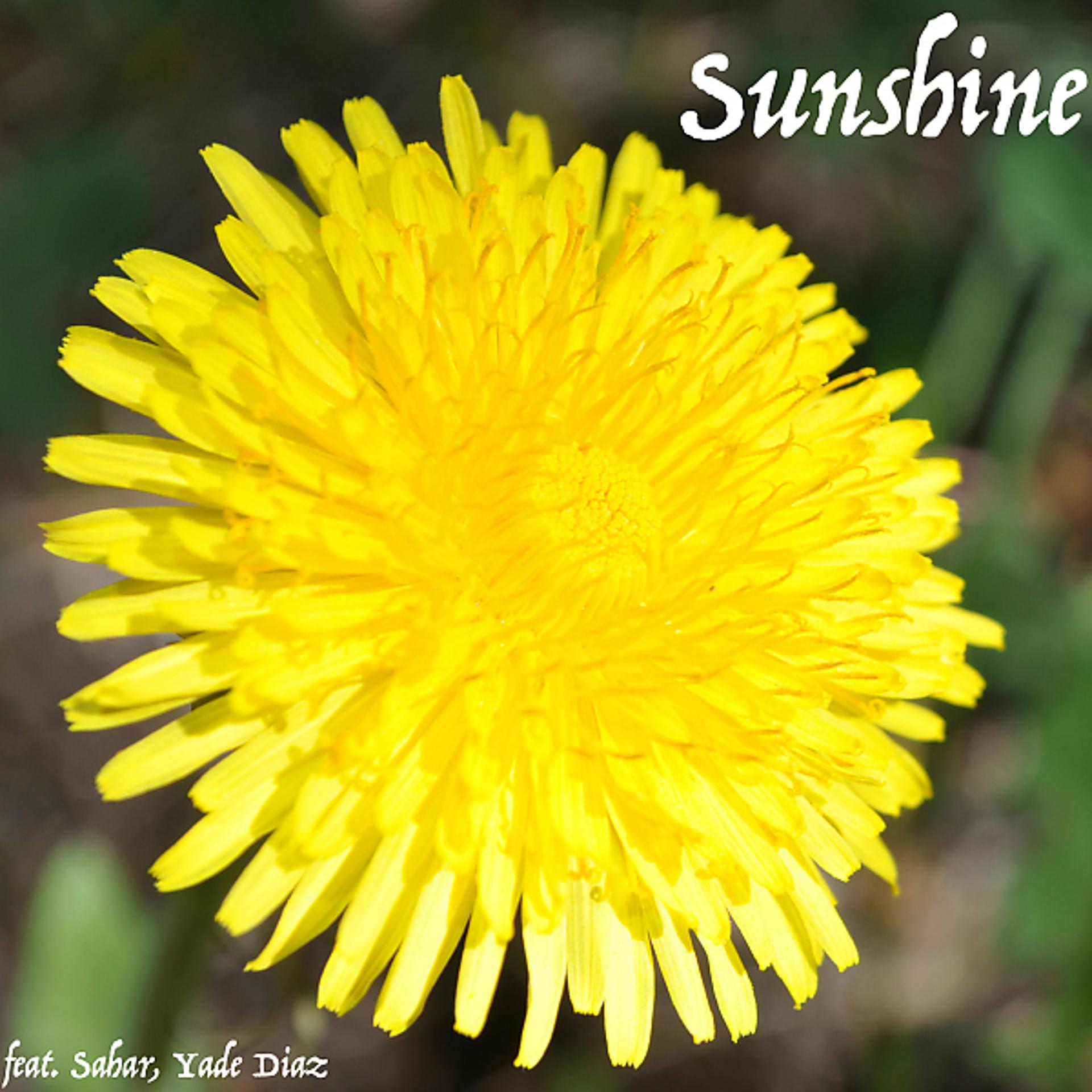 Постер альбома Sunshine (feat. Sahar & Yade Diaz)