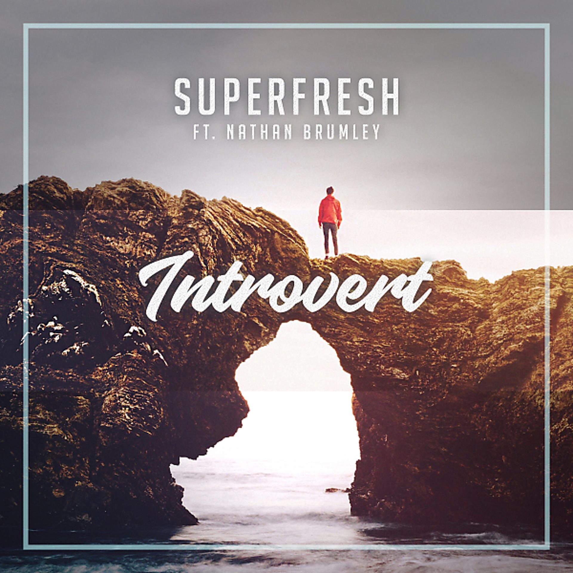 Постер альбома Introvert (feat. Nathan Brumley)