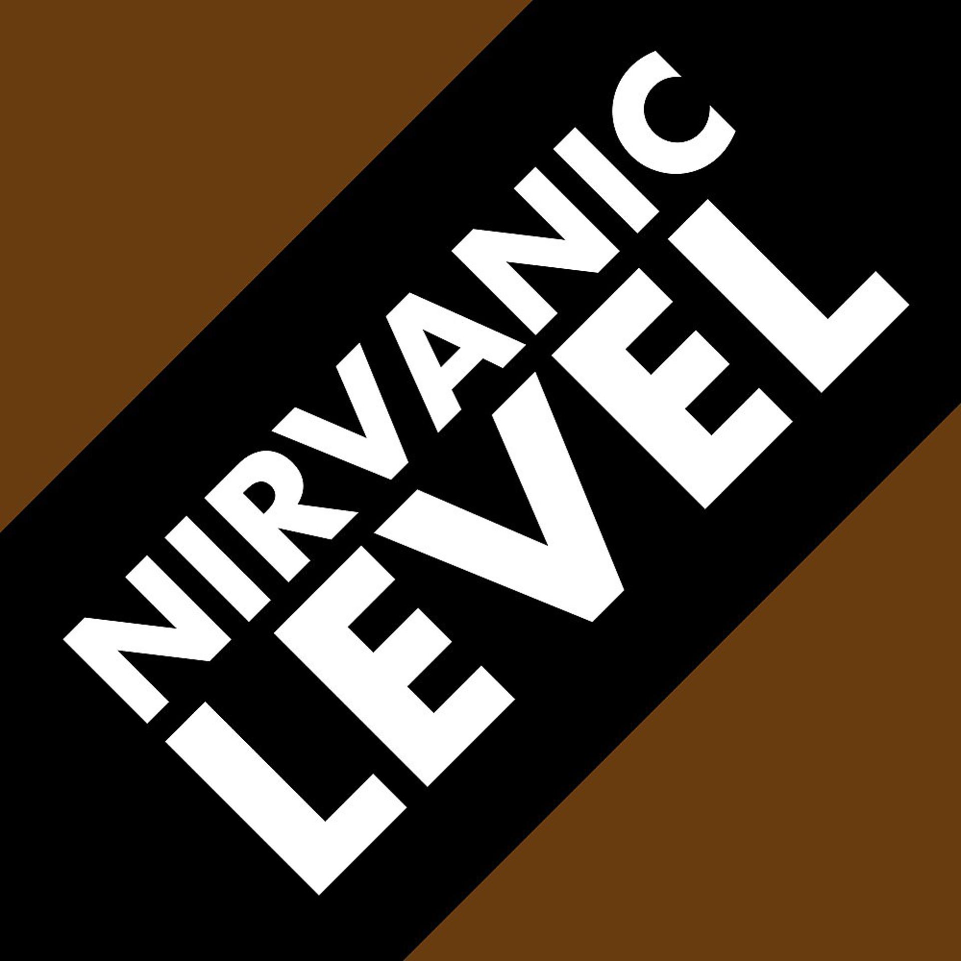Постер альбома Nirvanic Level