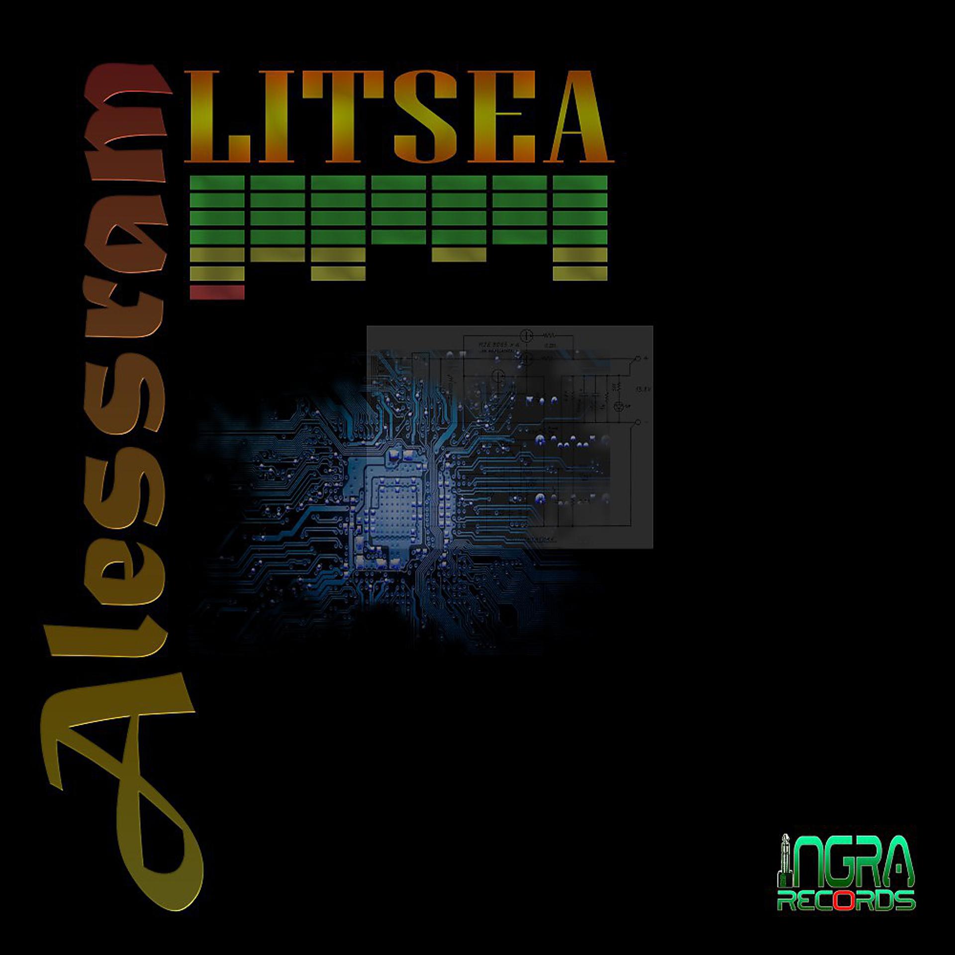 Постер альбома Litsea