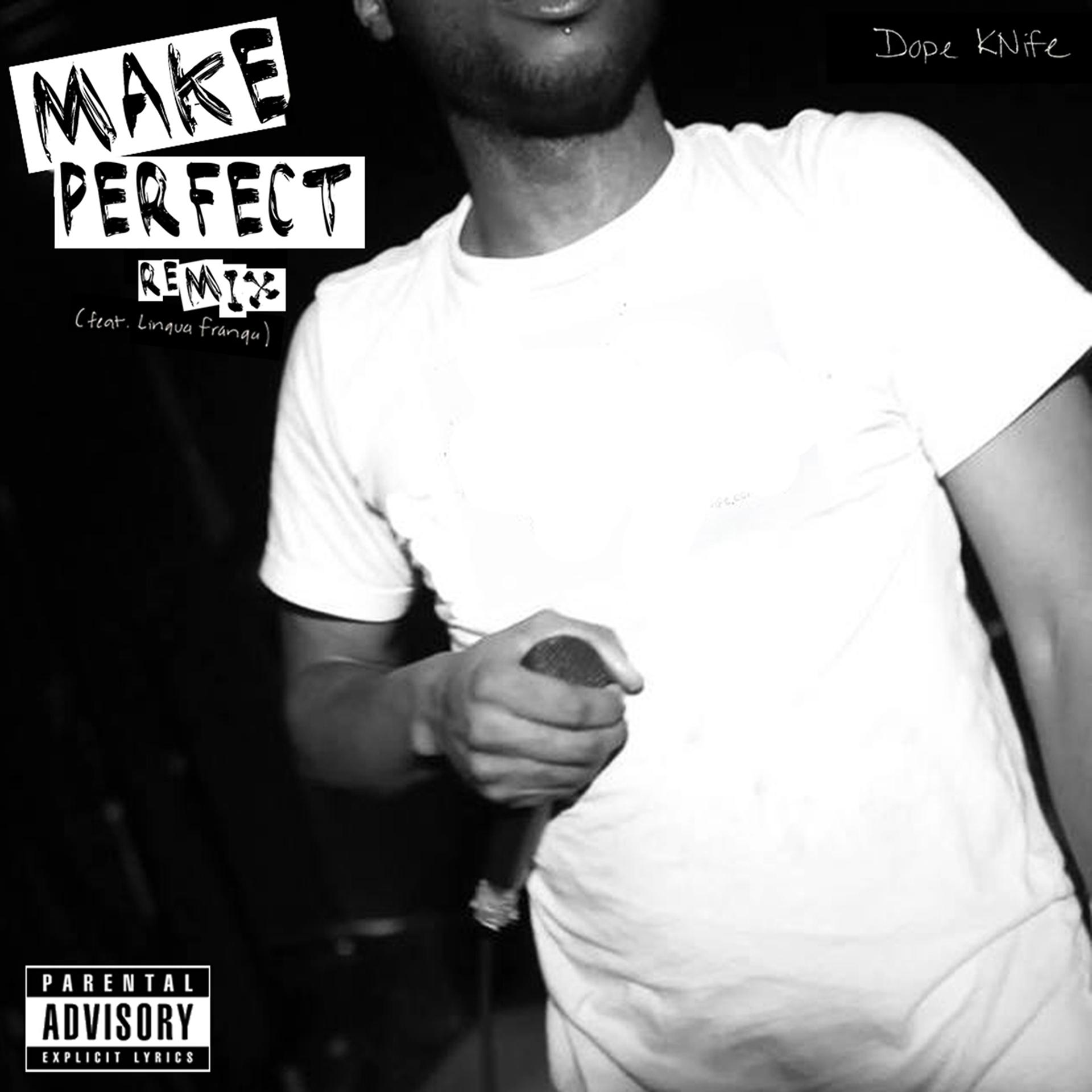 Постер альбома Make Perfect (feat. Linqua Franqa) [Remix]