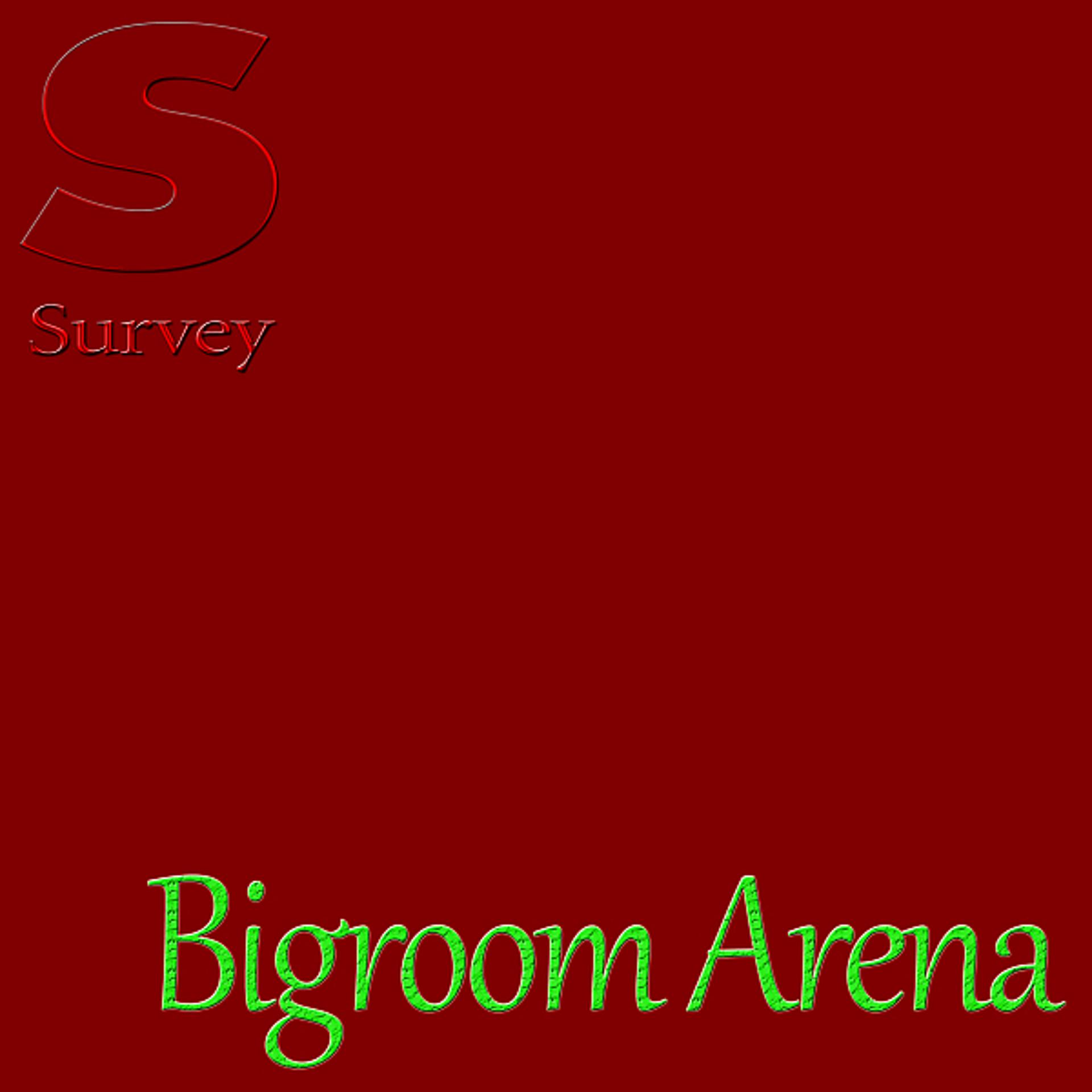 Постер альбома Bigroom Arena