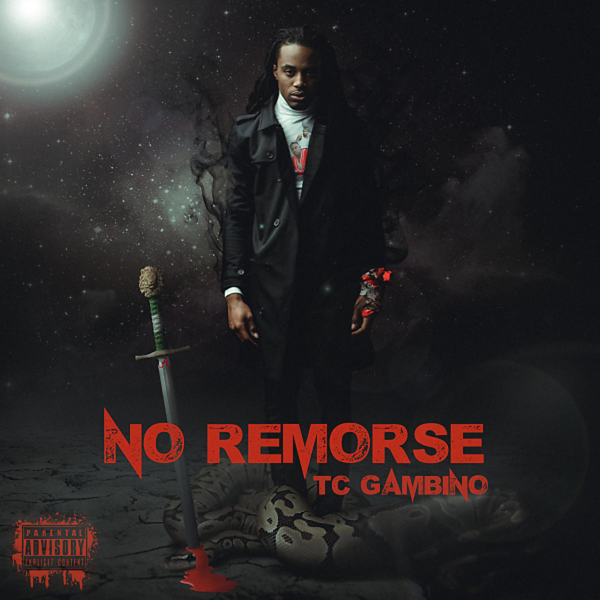 Постер альбома No remorse