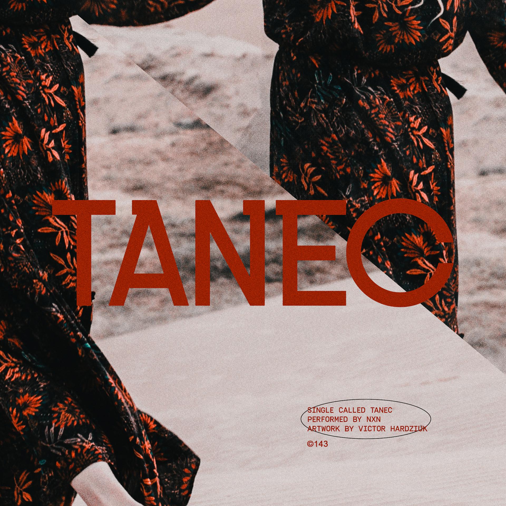 Постер альбома Tanec