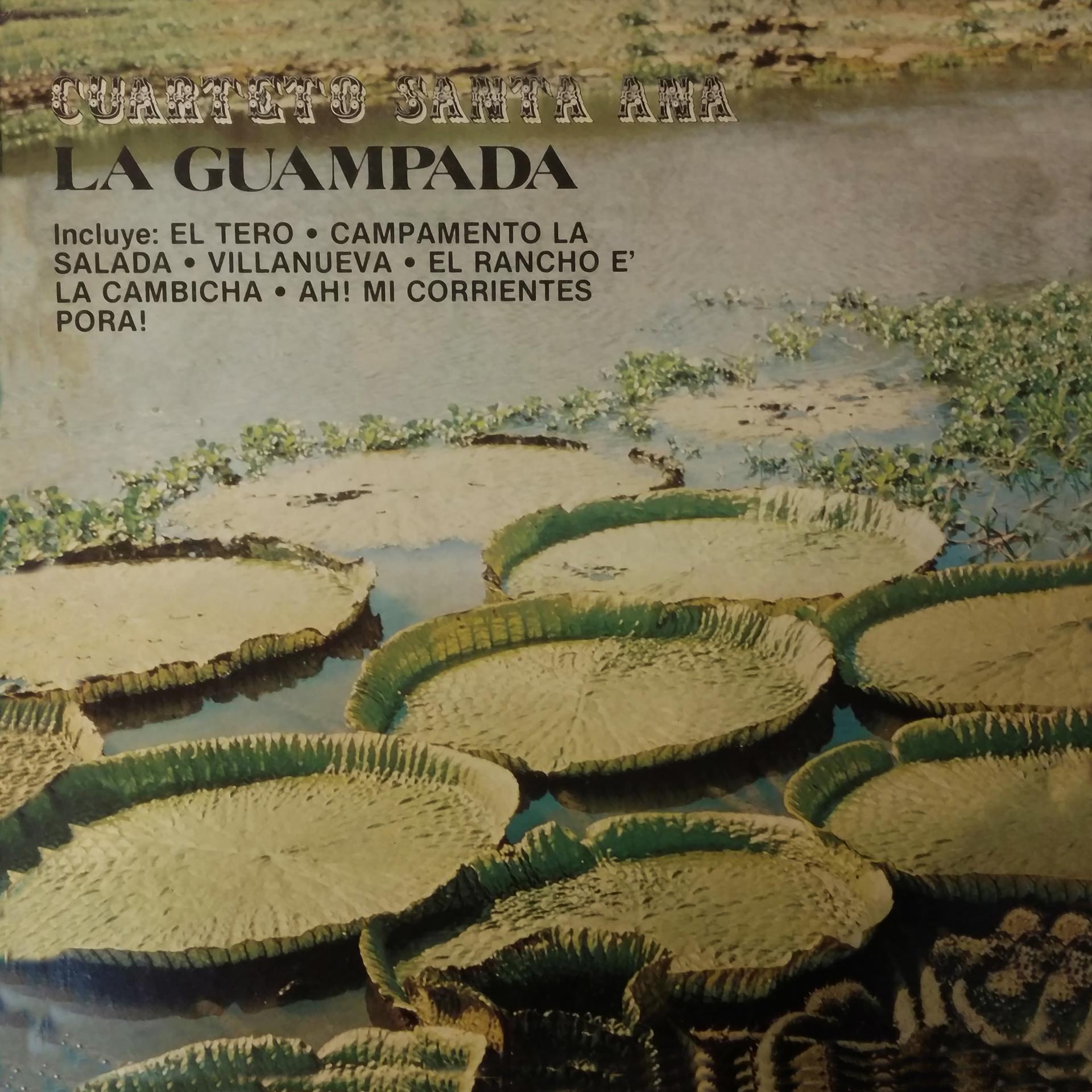 Постер альбома La Guampada