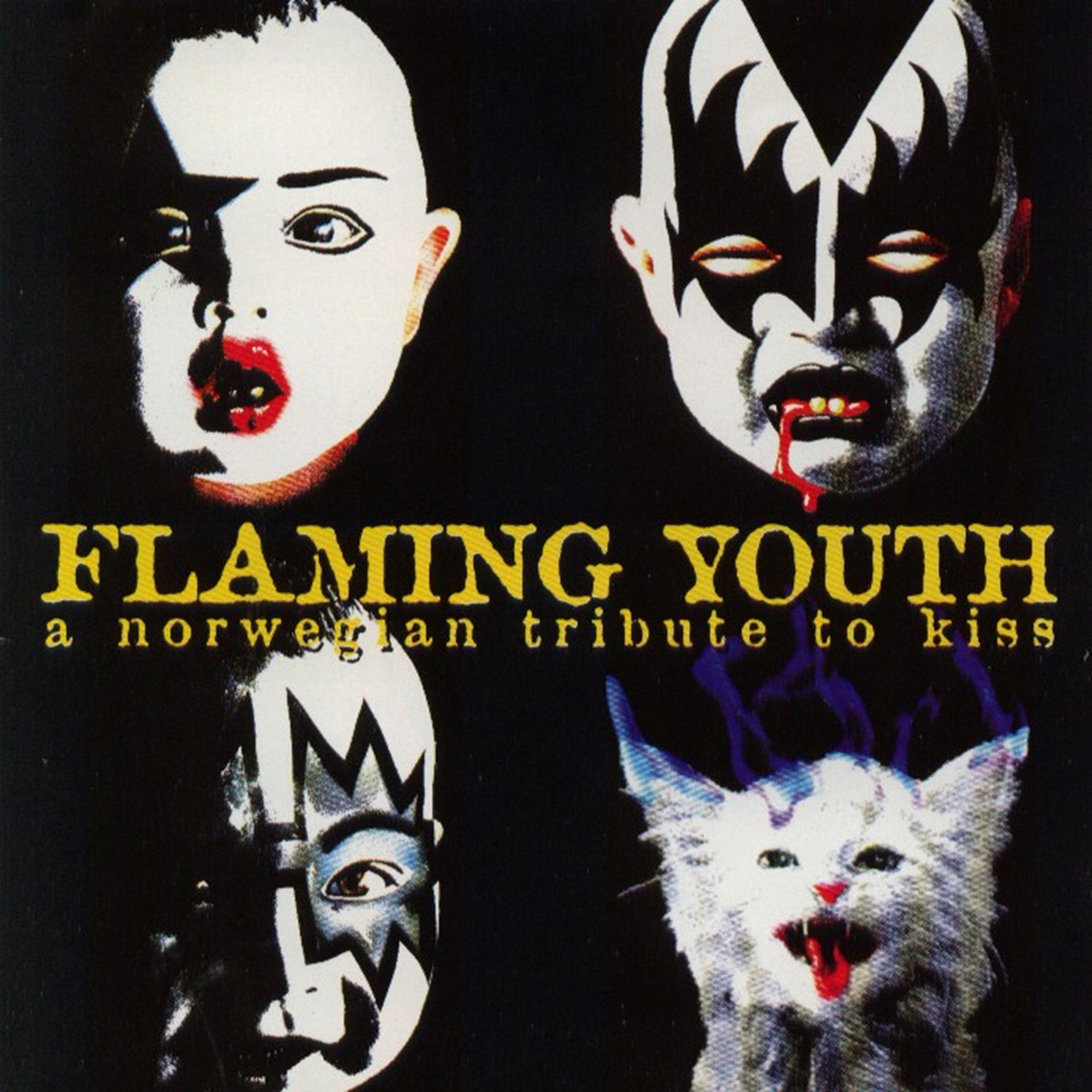 Постер альбома Flaming Youth - A Norwegian Tribute to Kiss