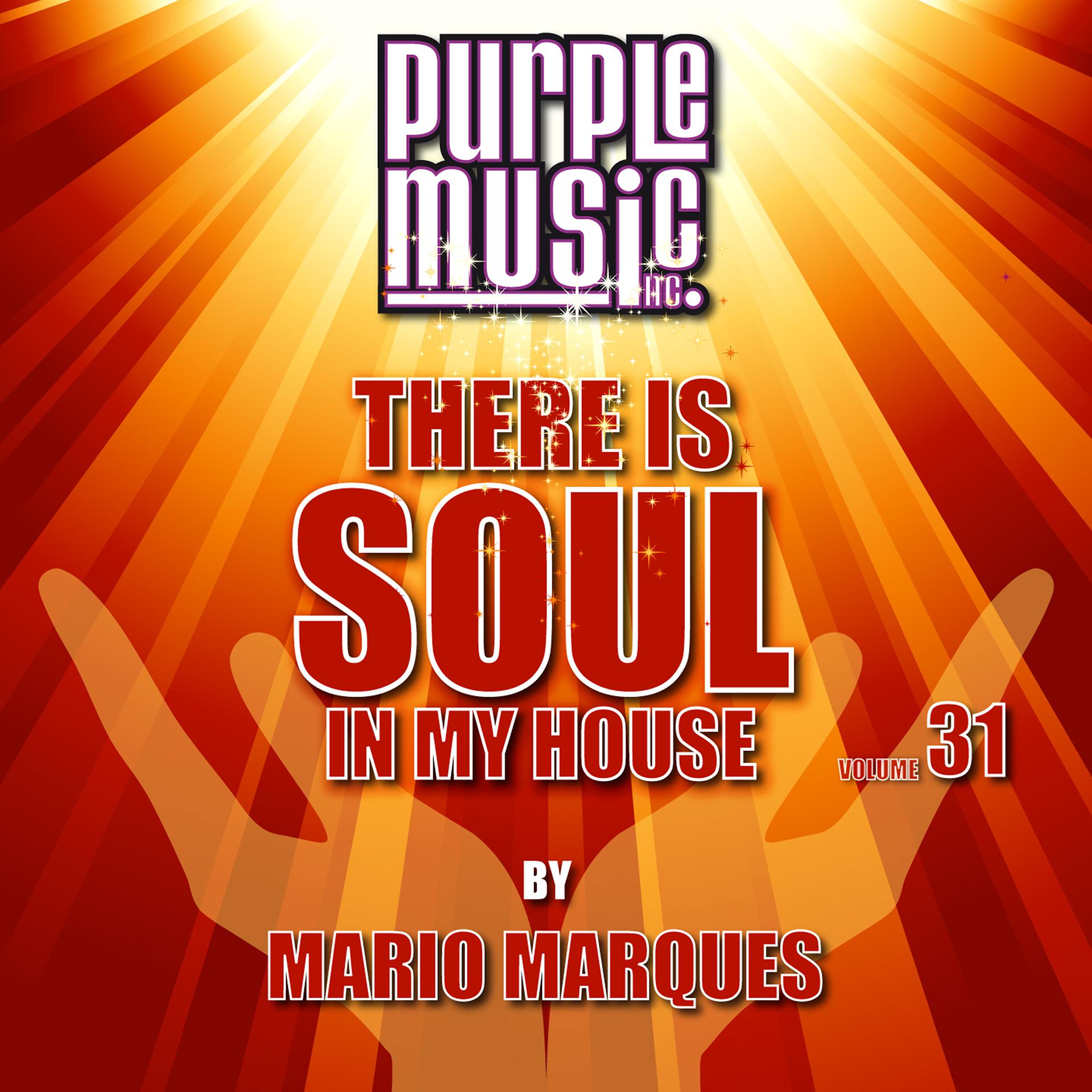 Постер альбома Mario Marques Presents There Is Soul in My House, Vol. 31