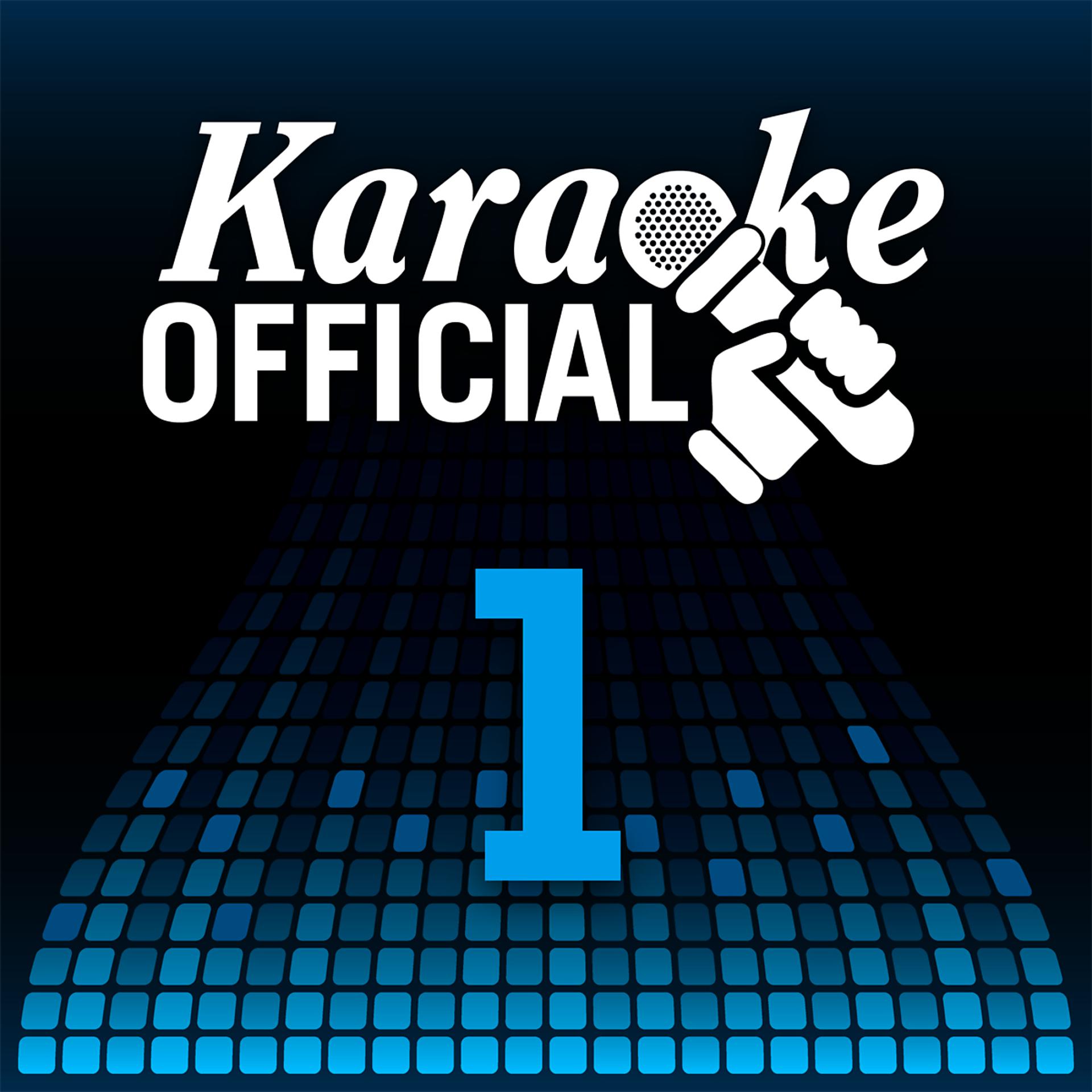 Постер альбома Karaoke Official  Volume 1