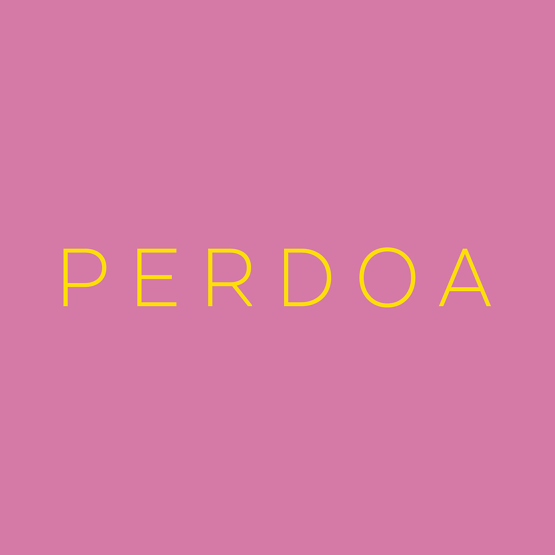 Постер альбома Perdoa