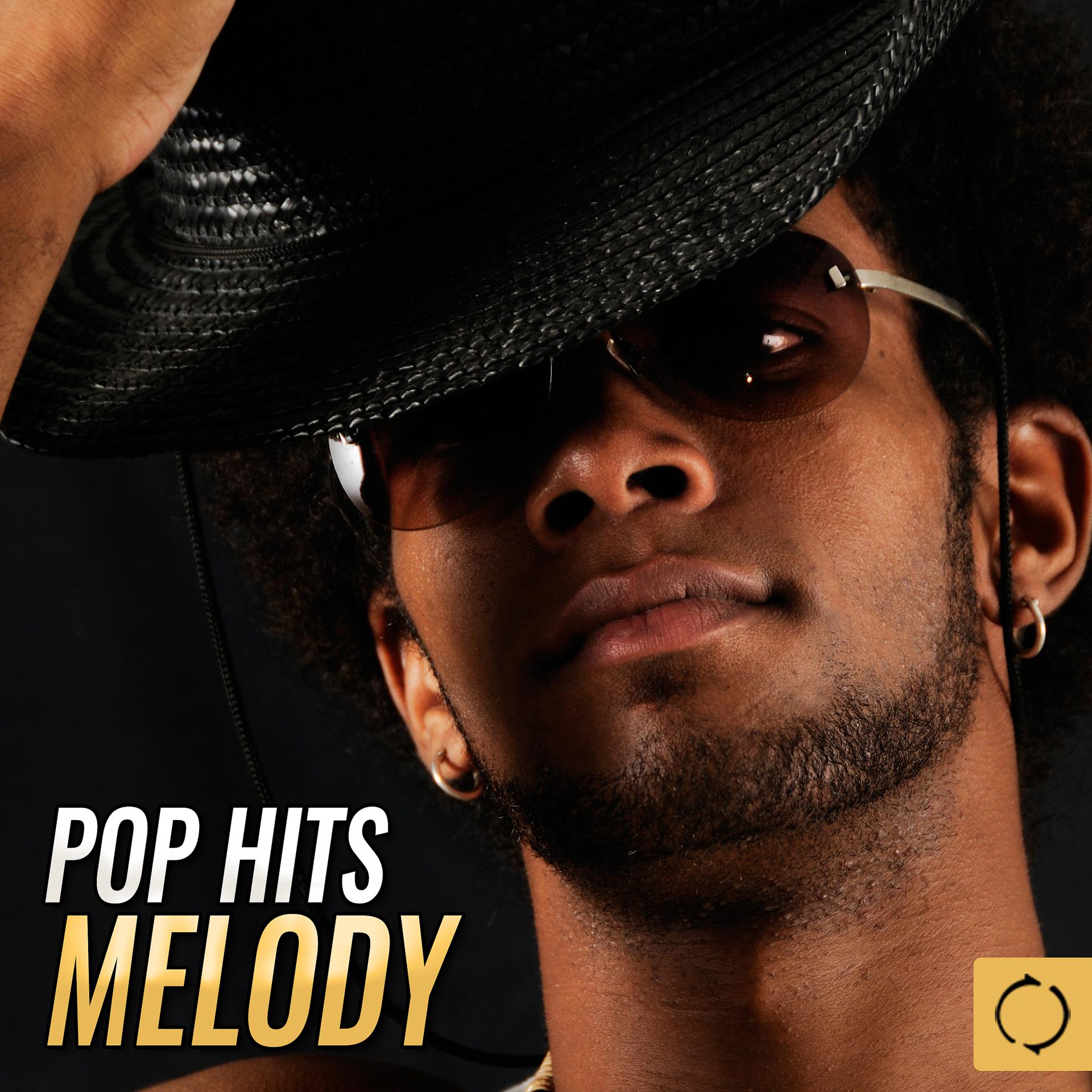 Постер альбома Pop Hits Melody