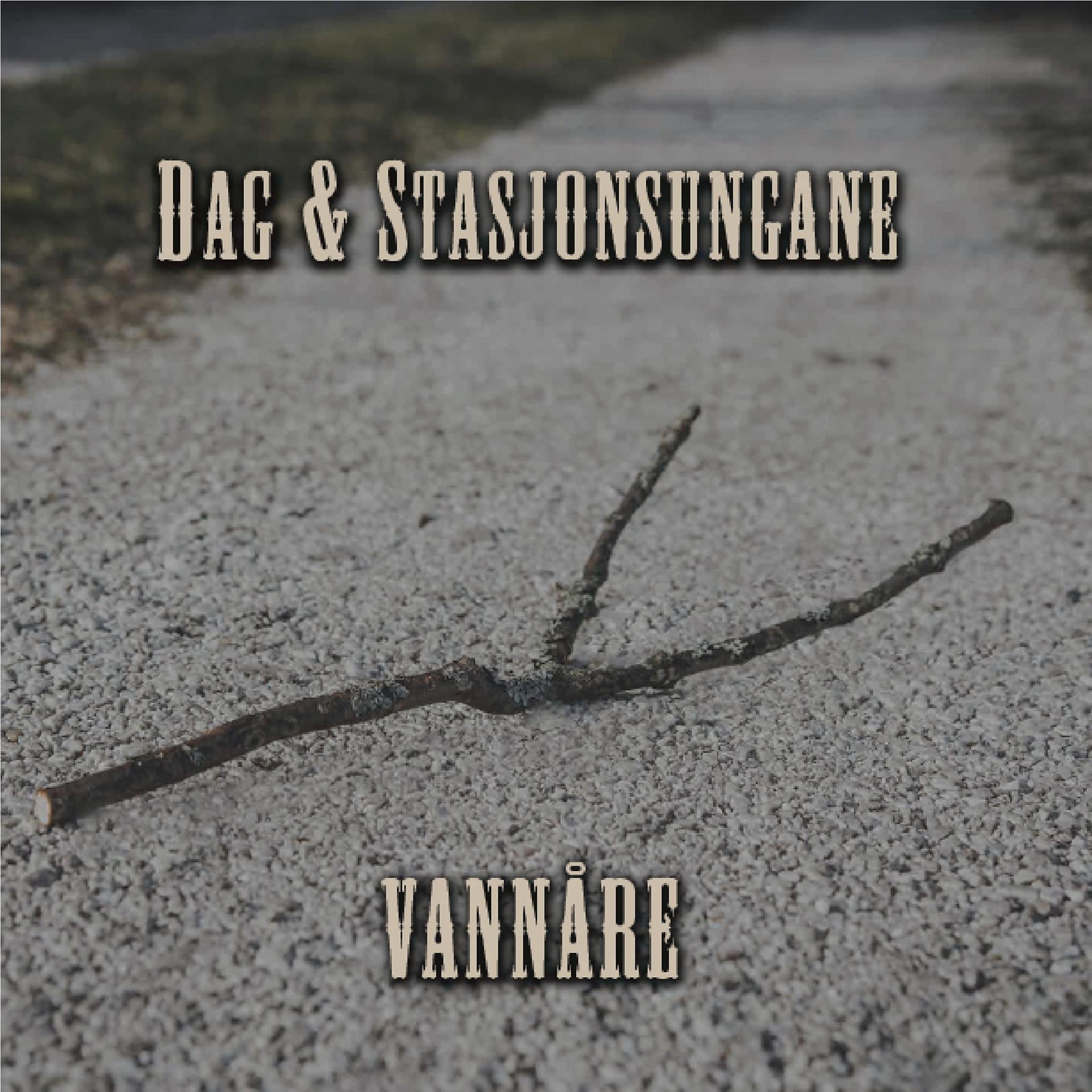 Постер альбома Vannåre