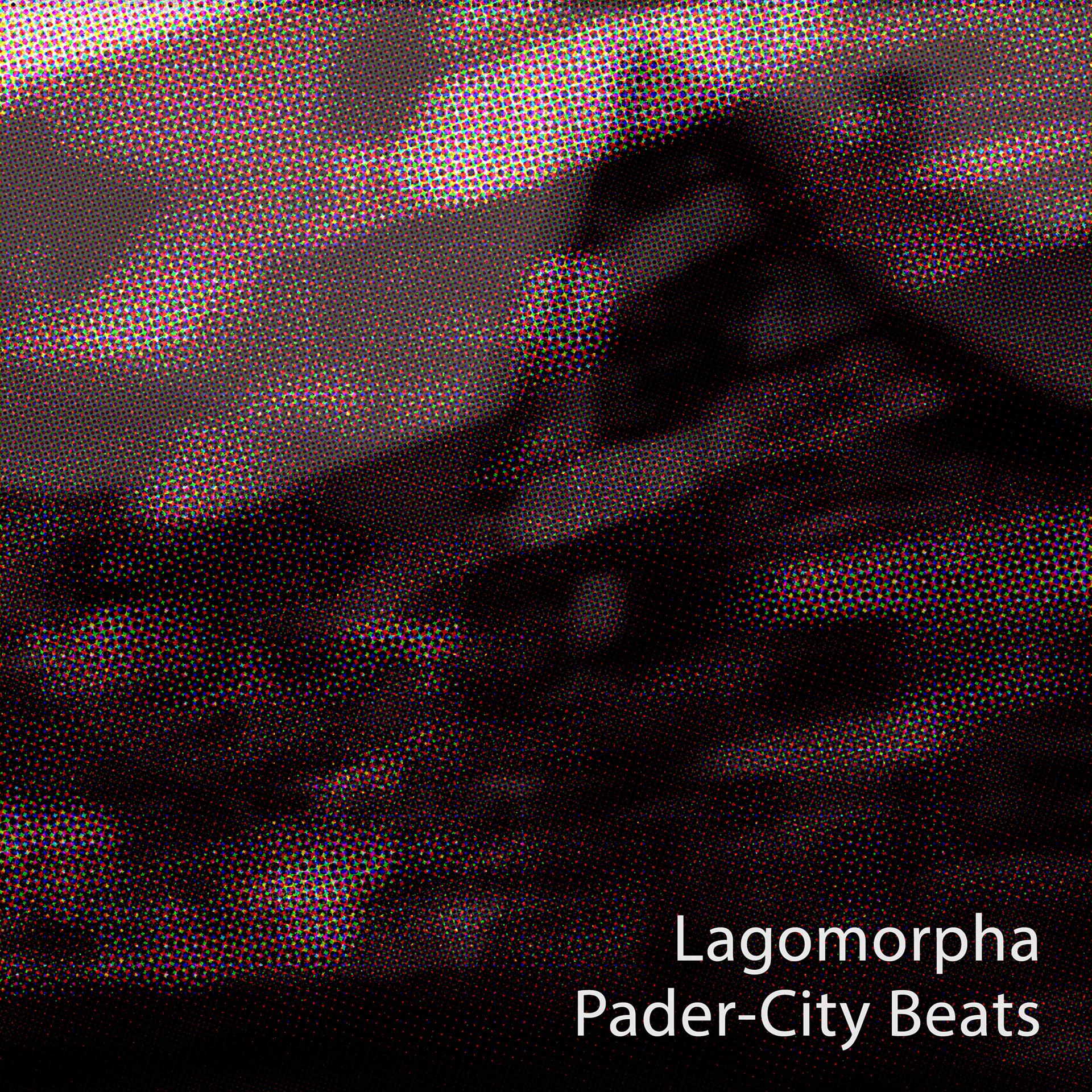 Постер альбома Pader-City Beats