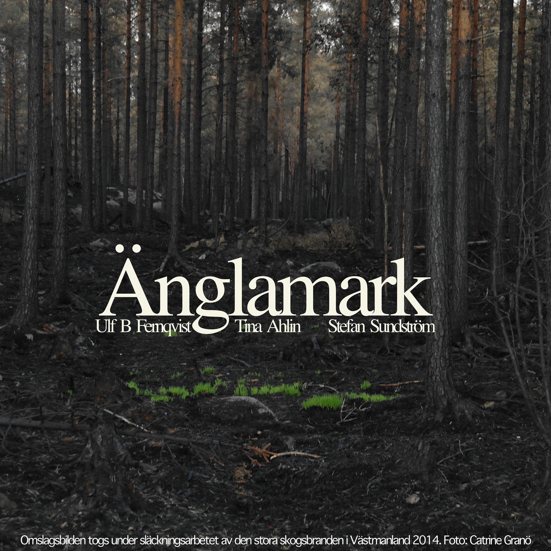 Постер альбома Änglamark