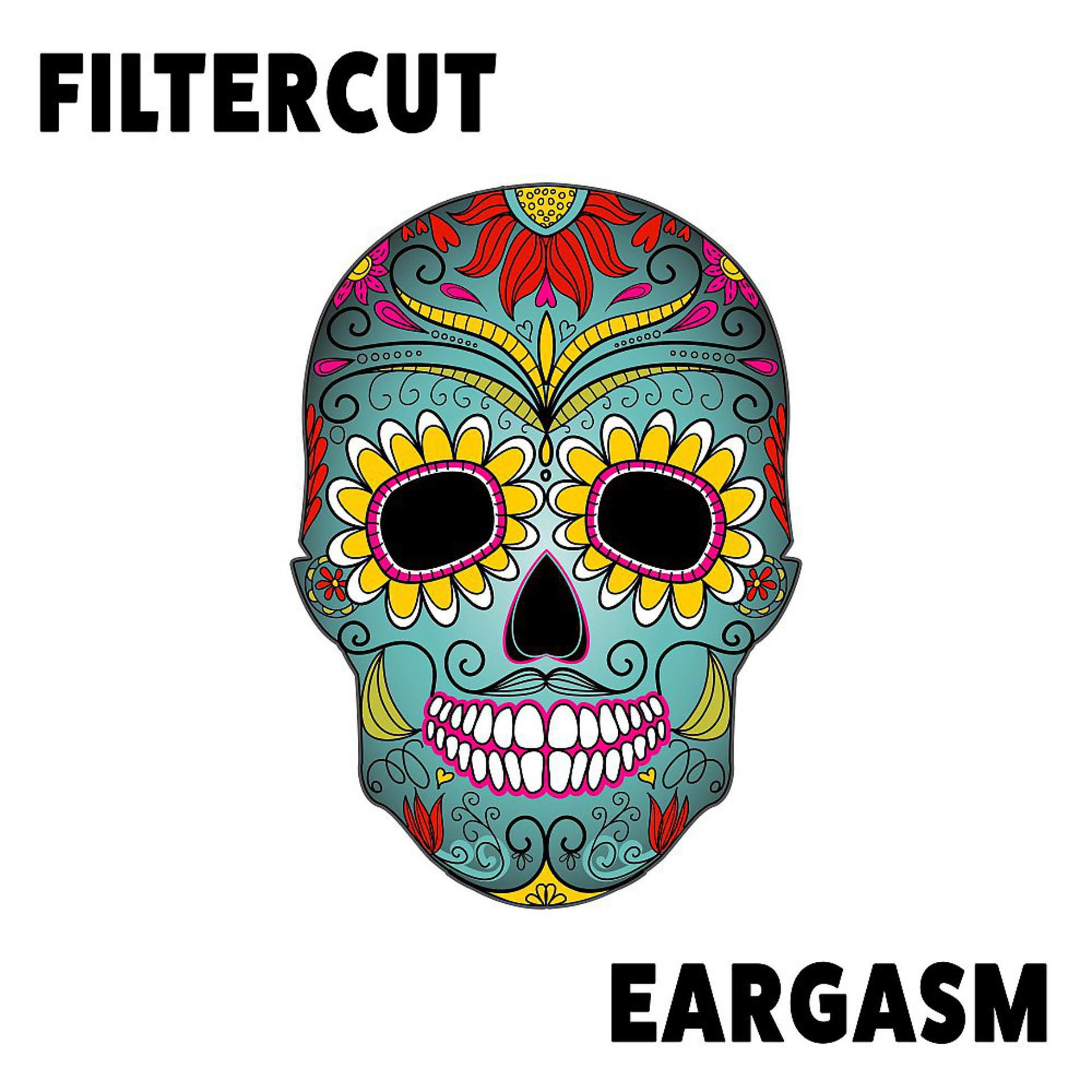 Постер альбома Eargasm