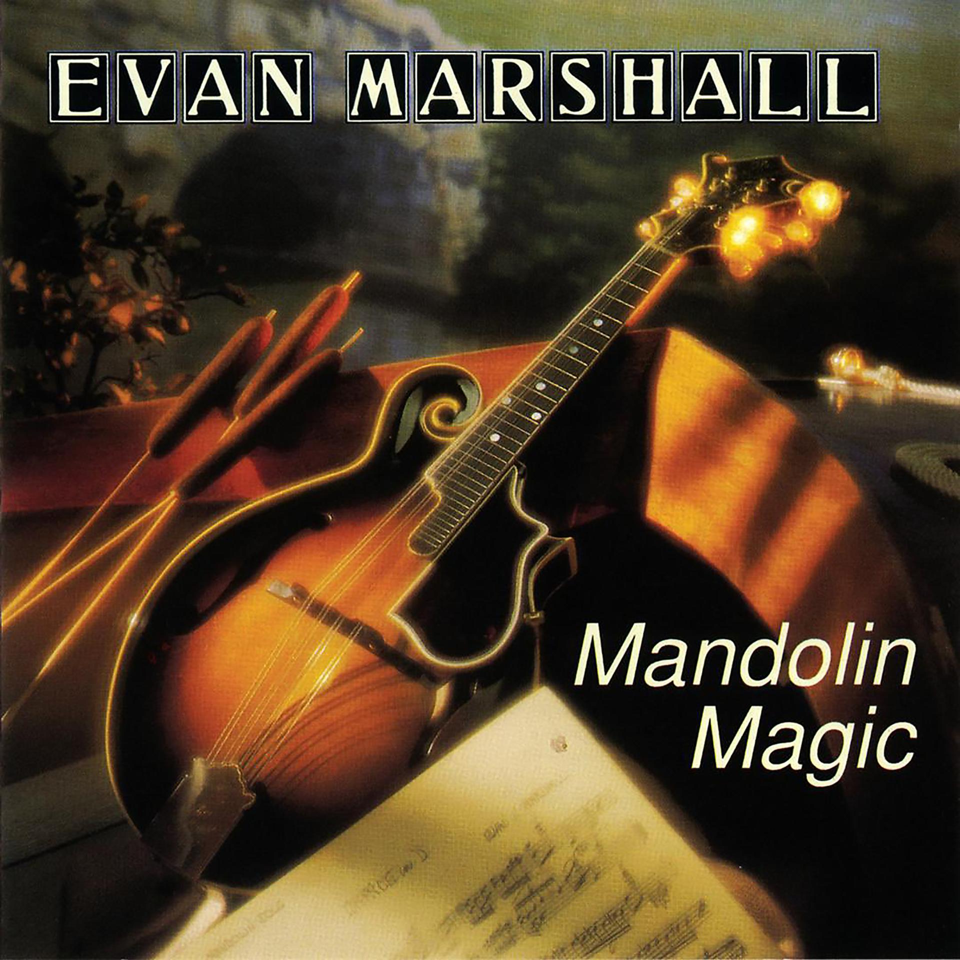 Постер альбома Mandolin Magic