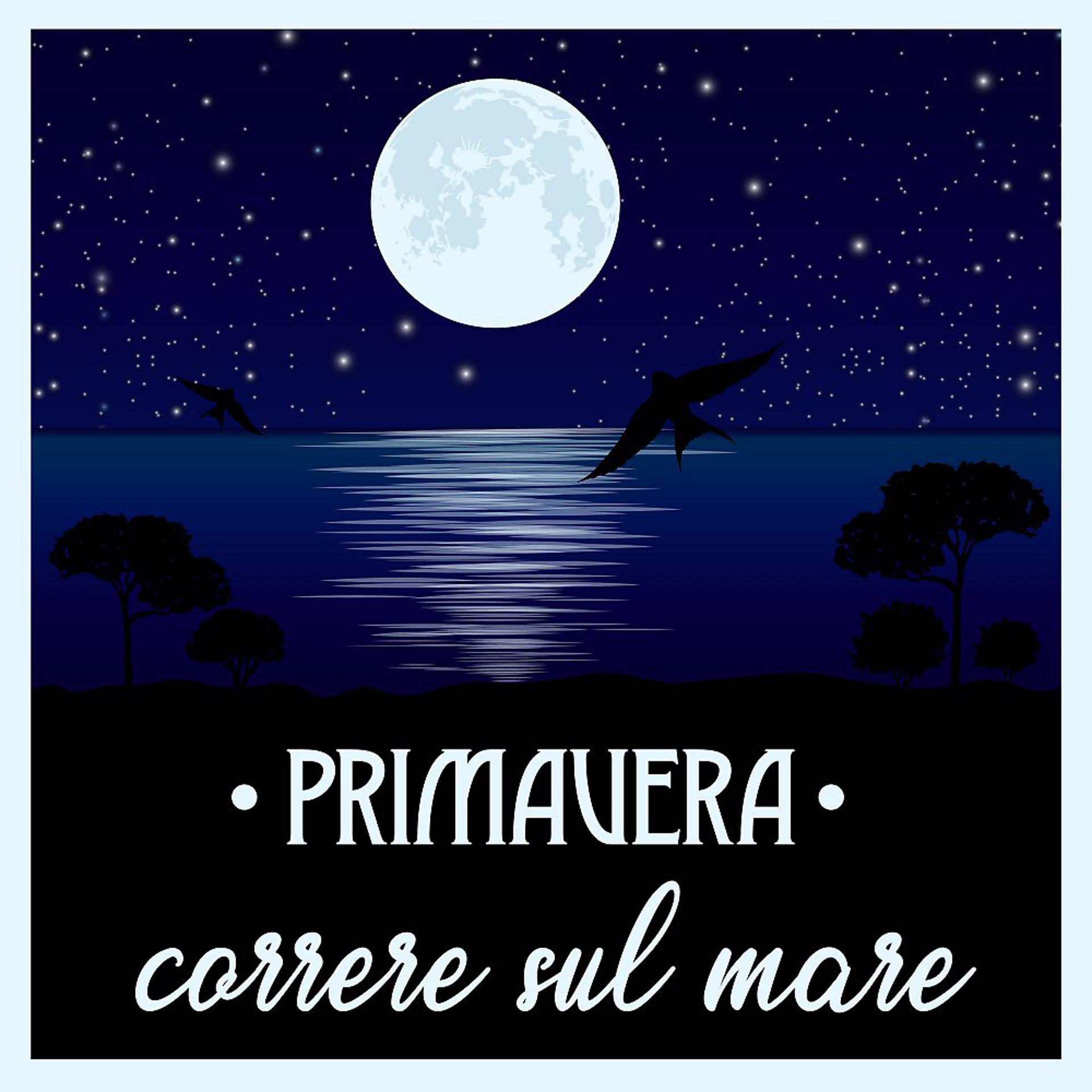 Постер альбома Correre sul mare