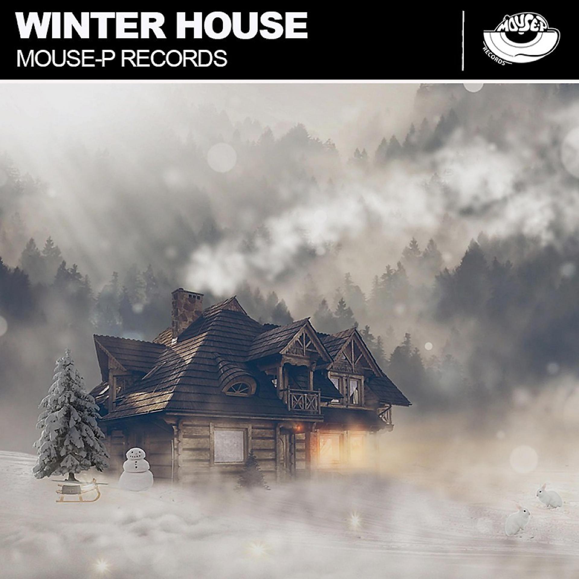 Постер альбома Winter House