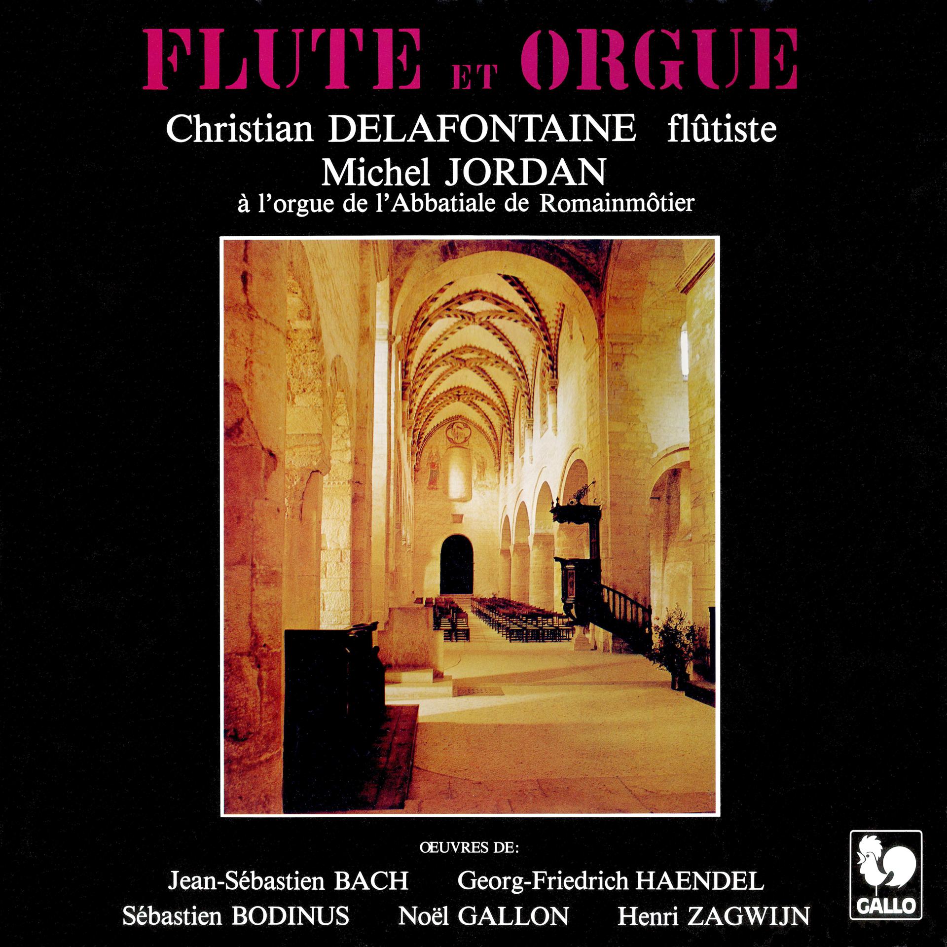 Постер альбома Bach: Trio Sonata, BWV 527 - Handel: Recorder Sonata, Op. 1, No. 2 & No. 11 - Bodinus: Gigue for Flute Solo - Gallon: Recueillement  - Zagwijn: Andante for Flute & Organ