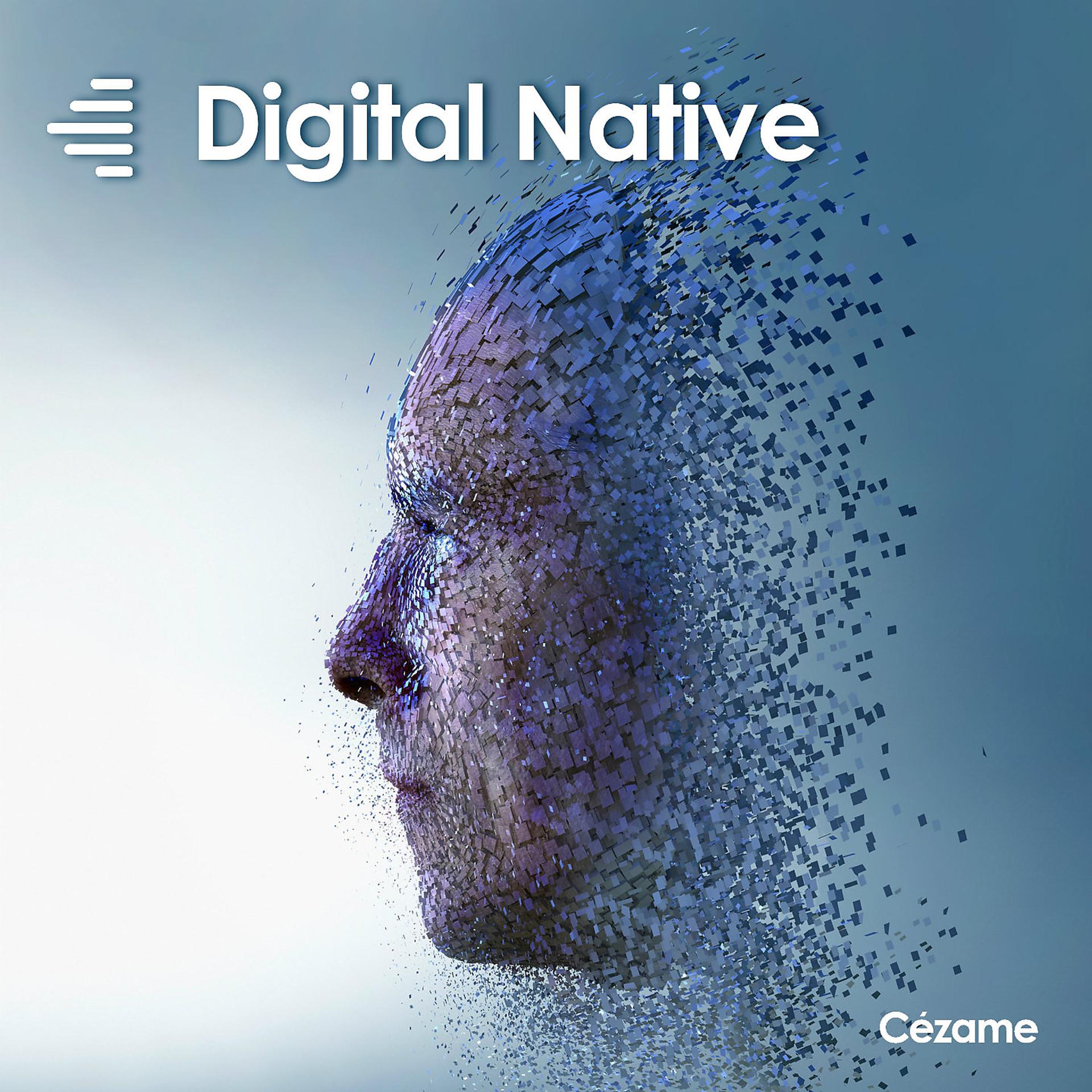 Постер альбома Digital Native