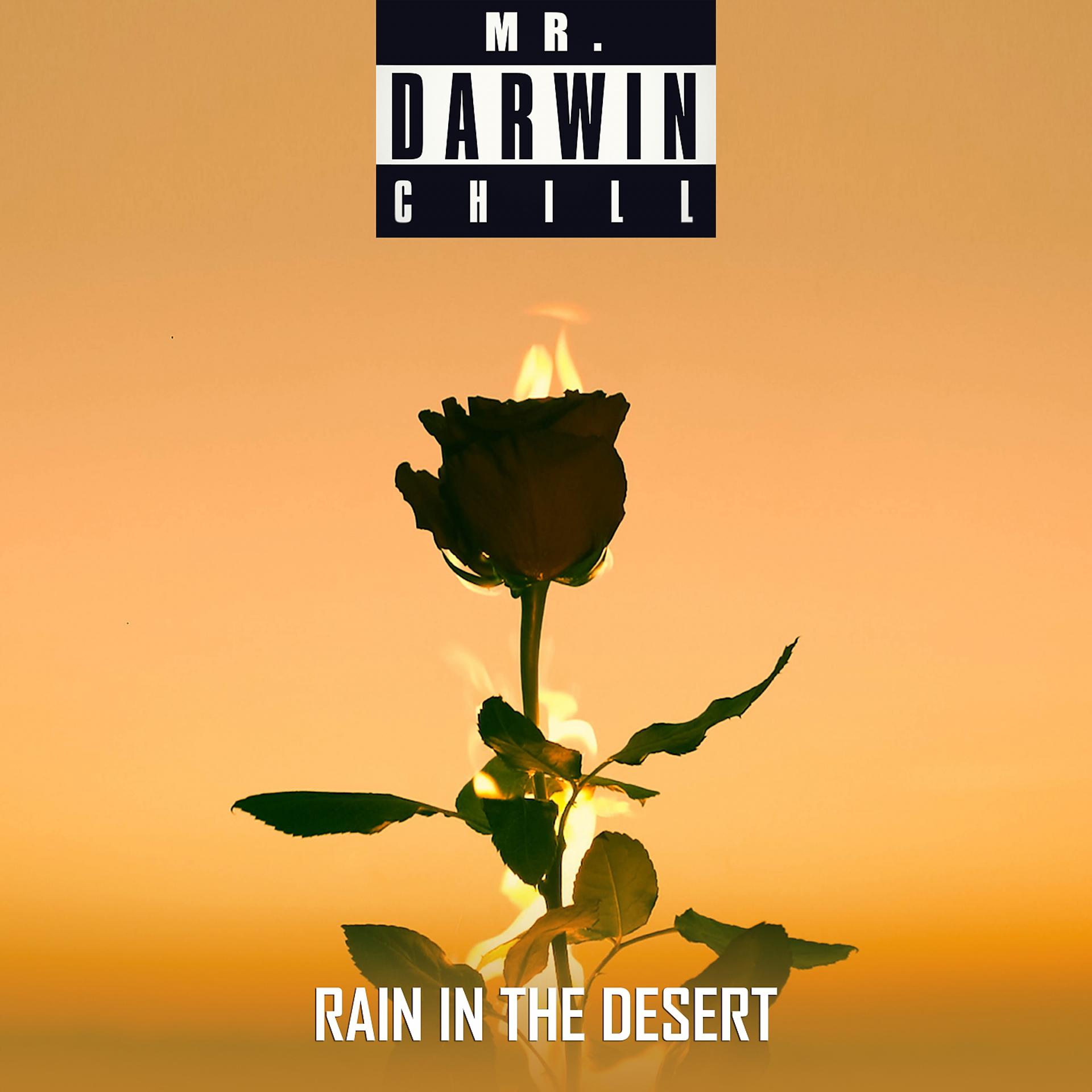 Постер альбома Rain In The Desert