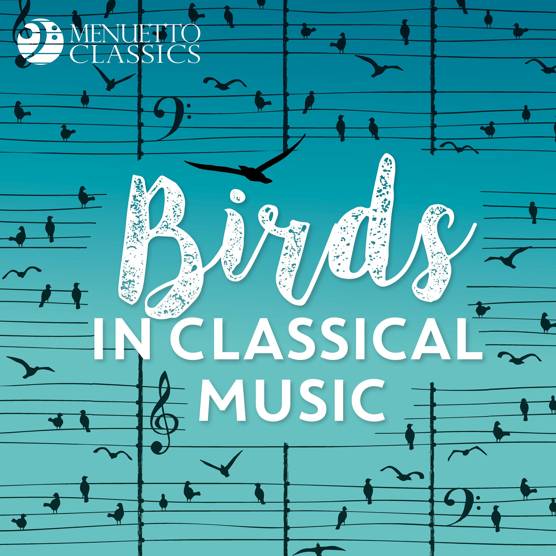 Постер альбома Birds in Classical Music