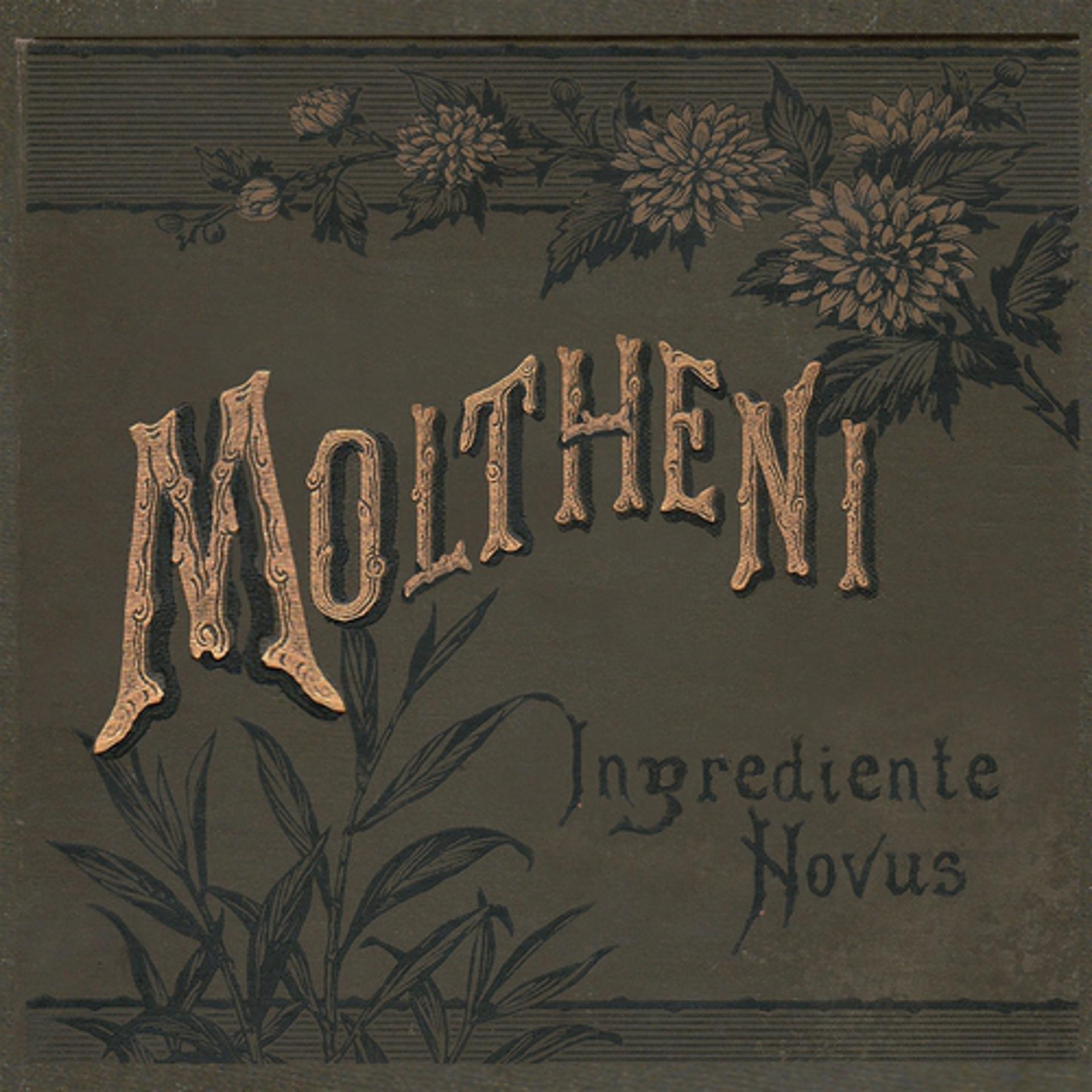 Постер альбома Ingrediente novus