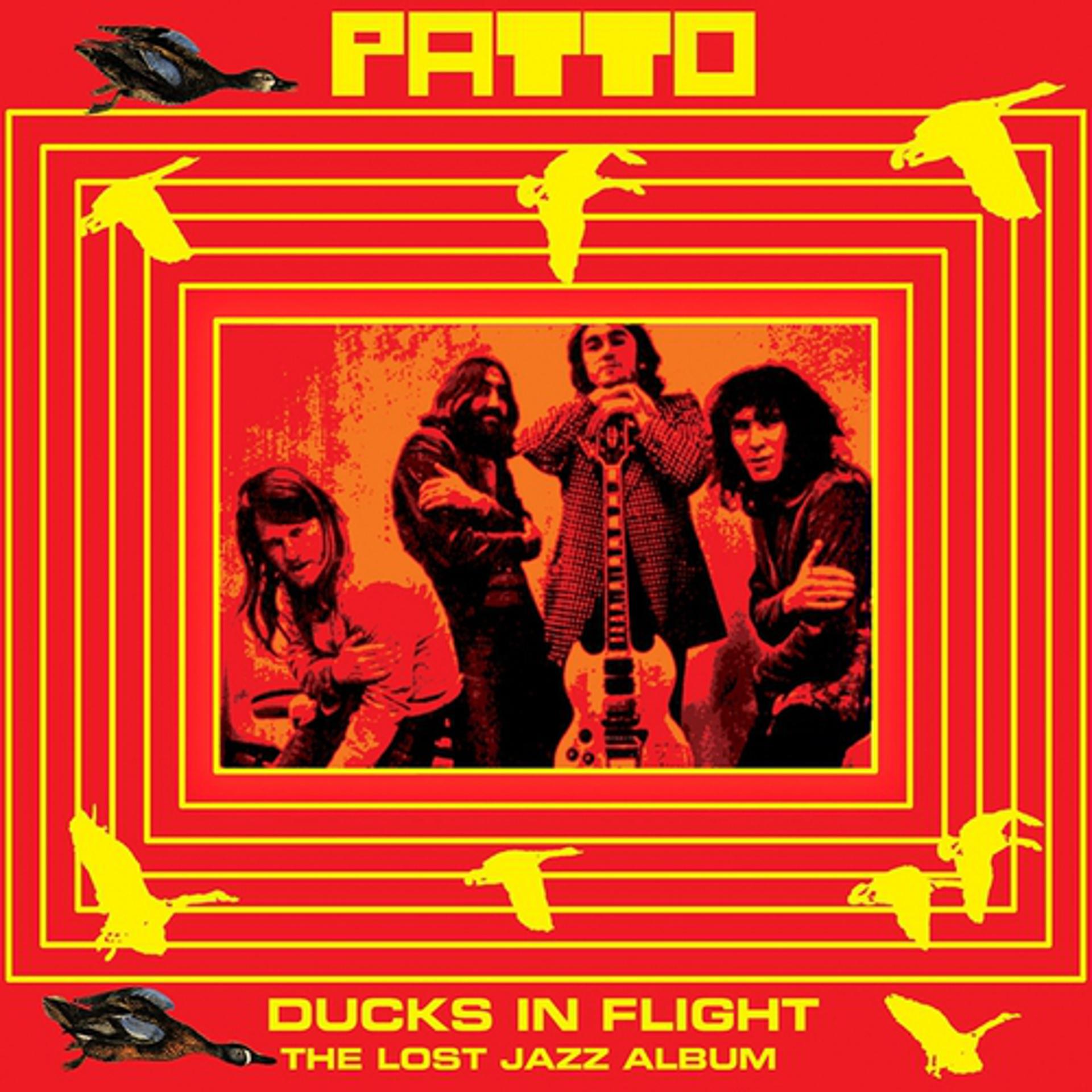 Постер альбома Ducks In Flight