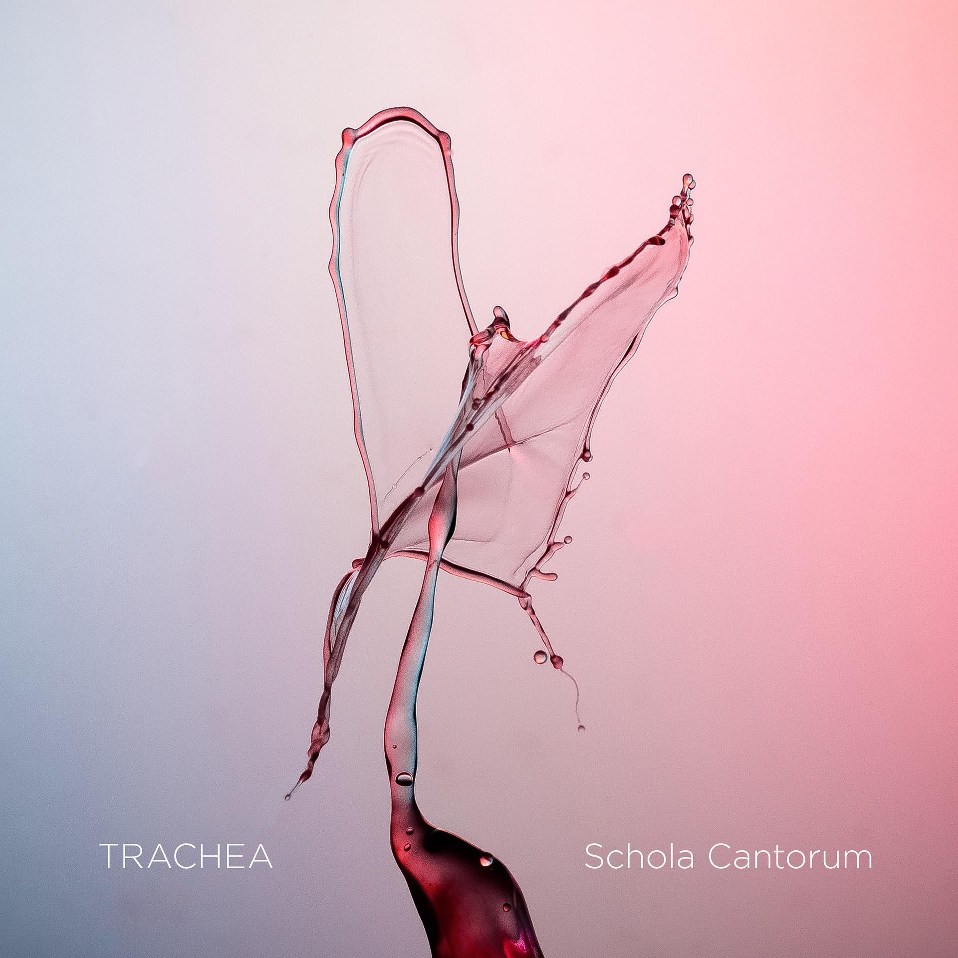 Постер альбома Trachea