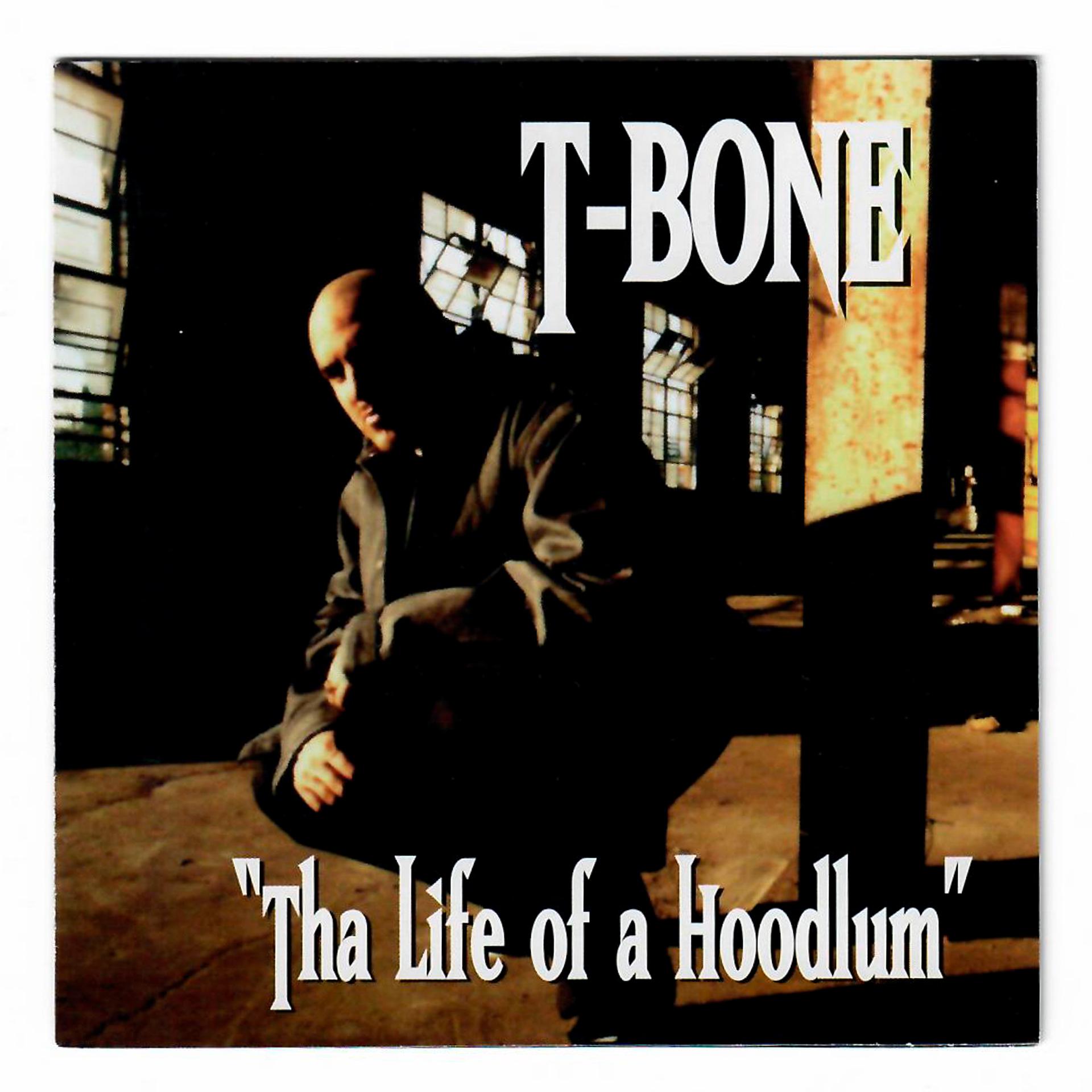 Постер альбома Tha Life of a Hoodlum