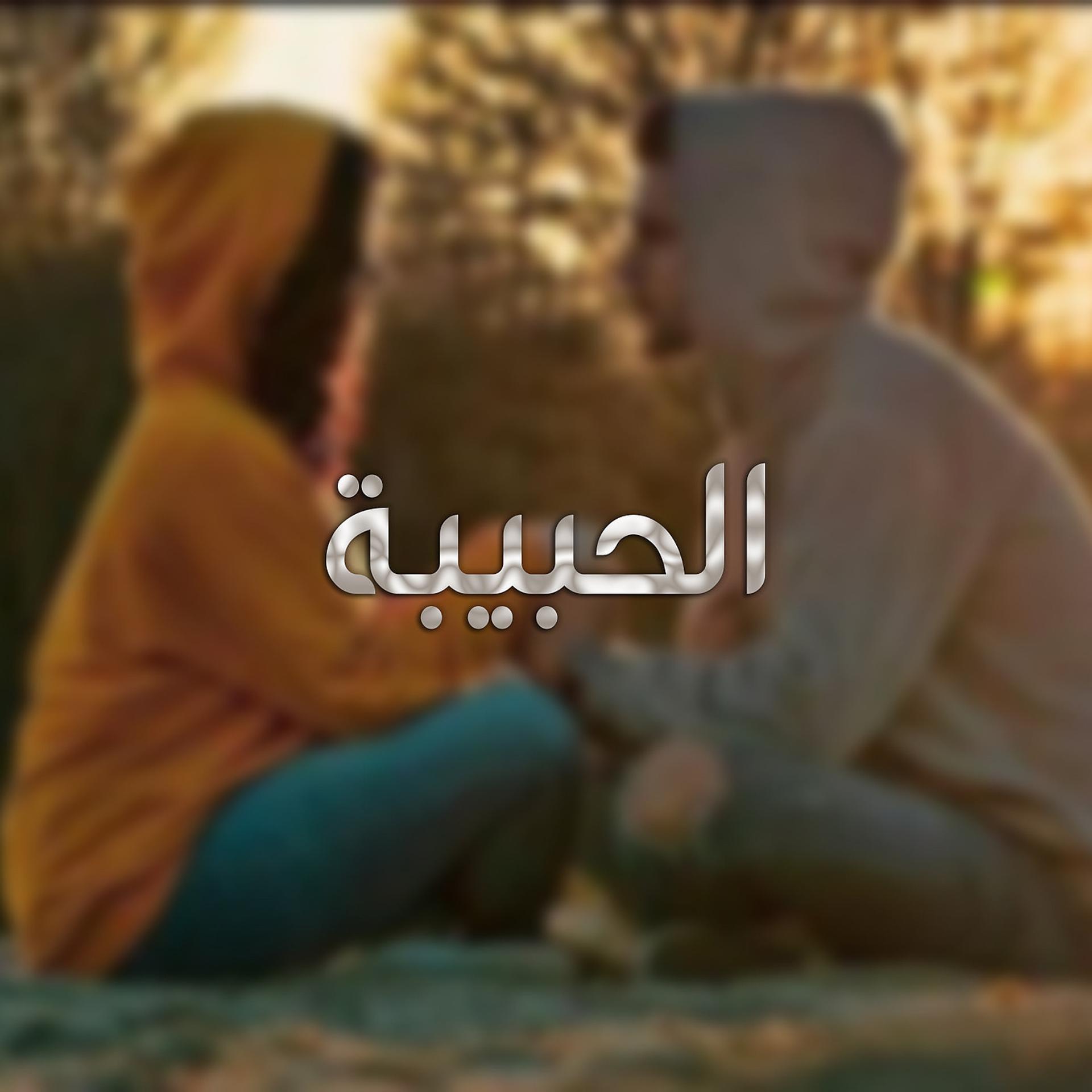 Постер альбома الحبيبة