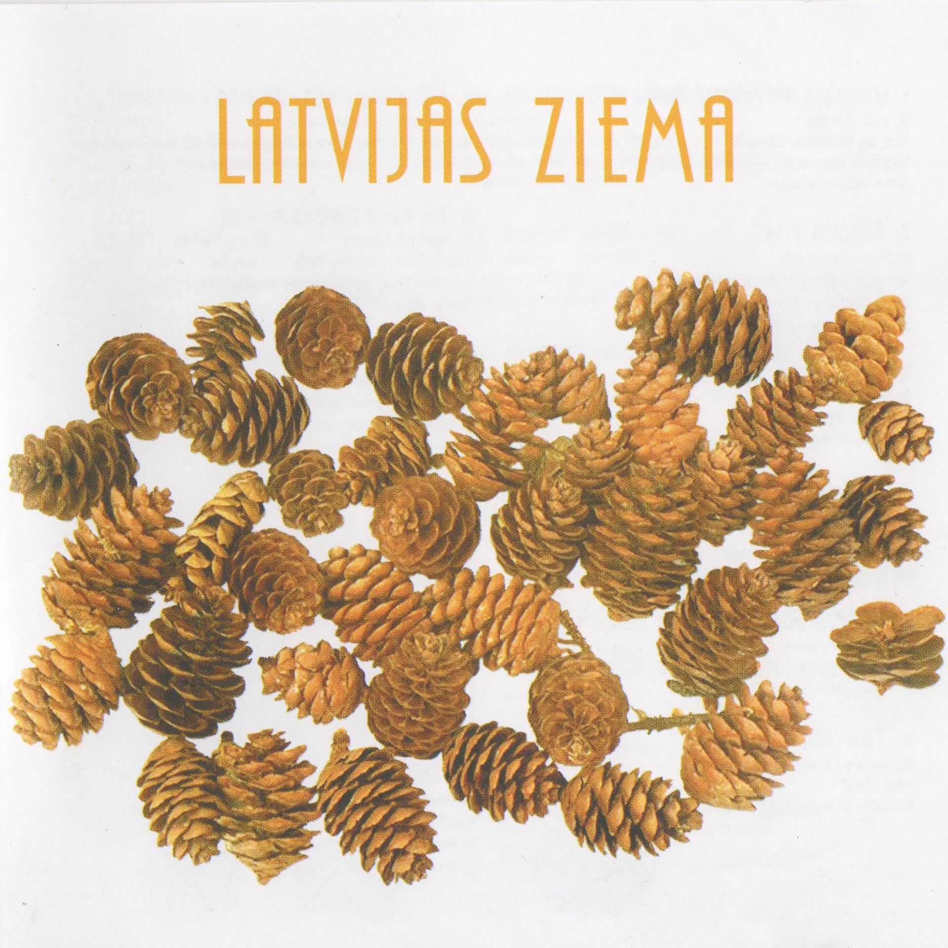Постер альбома Latvijas ziema