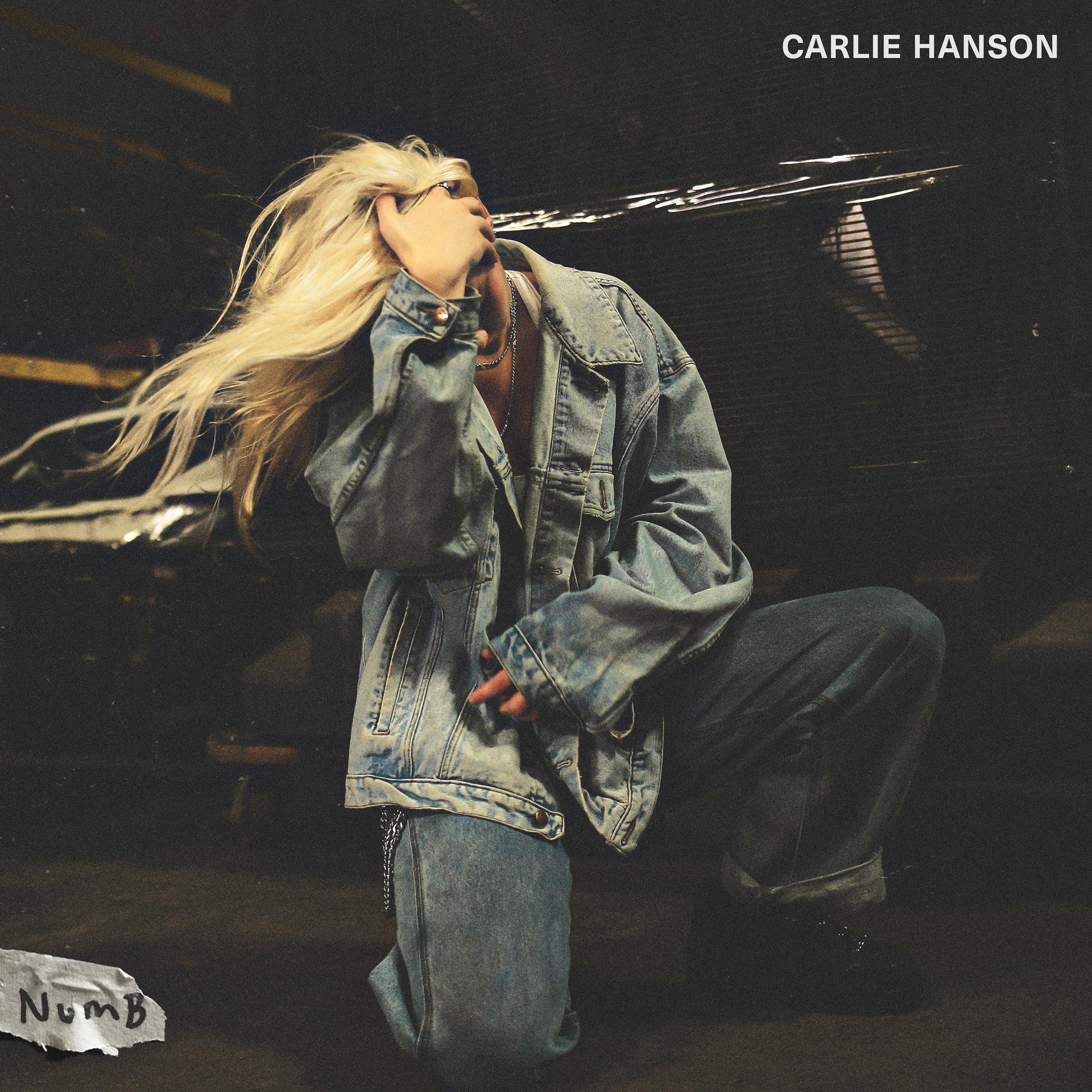 Постер к треку Carlie Hanson - Numb