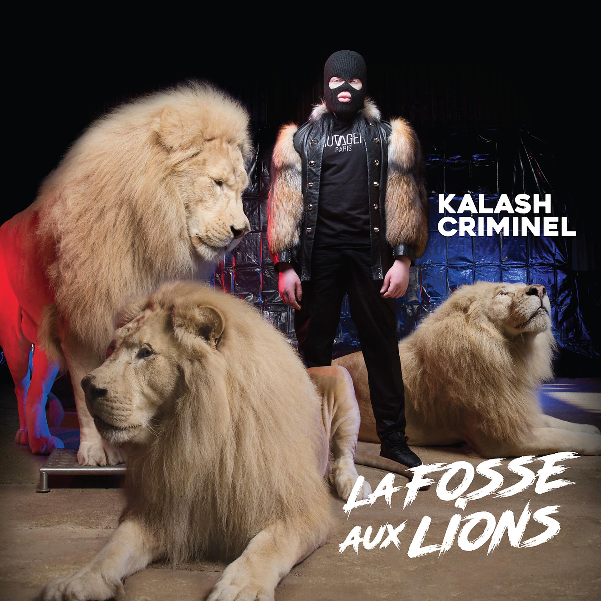Постер альбома La fosse aux lions