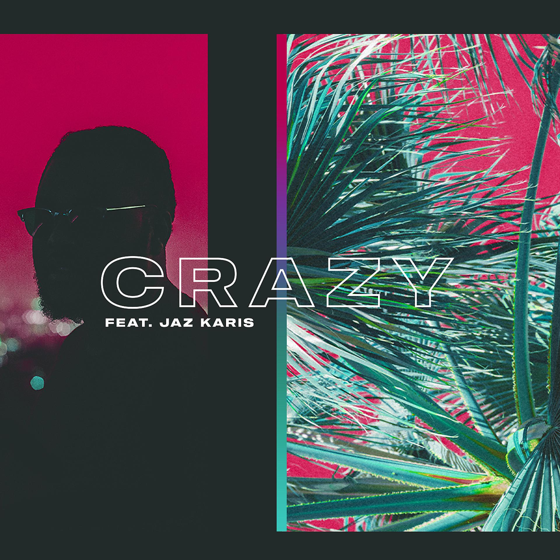 Постер альбома Crazy (feat. Jaz Karis)