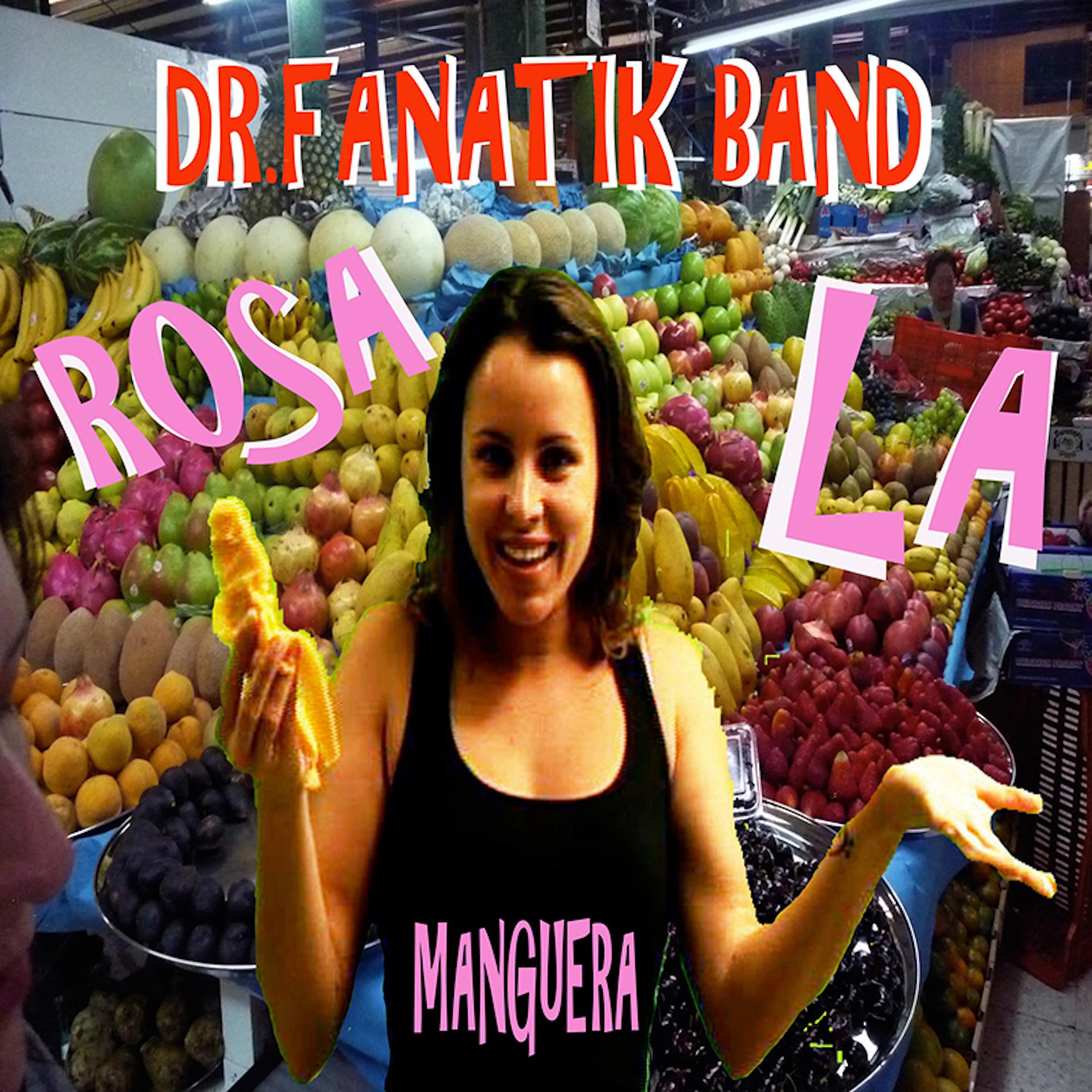 Постер альбома Rosa la Manguera