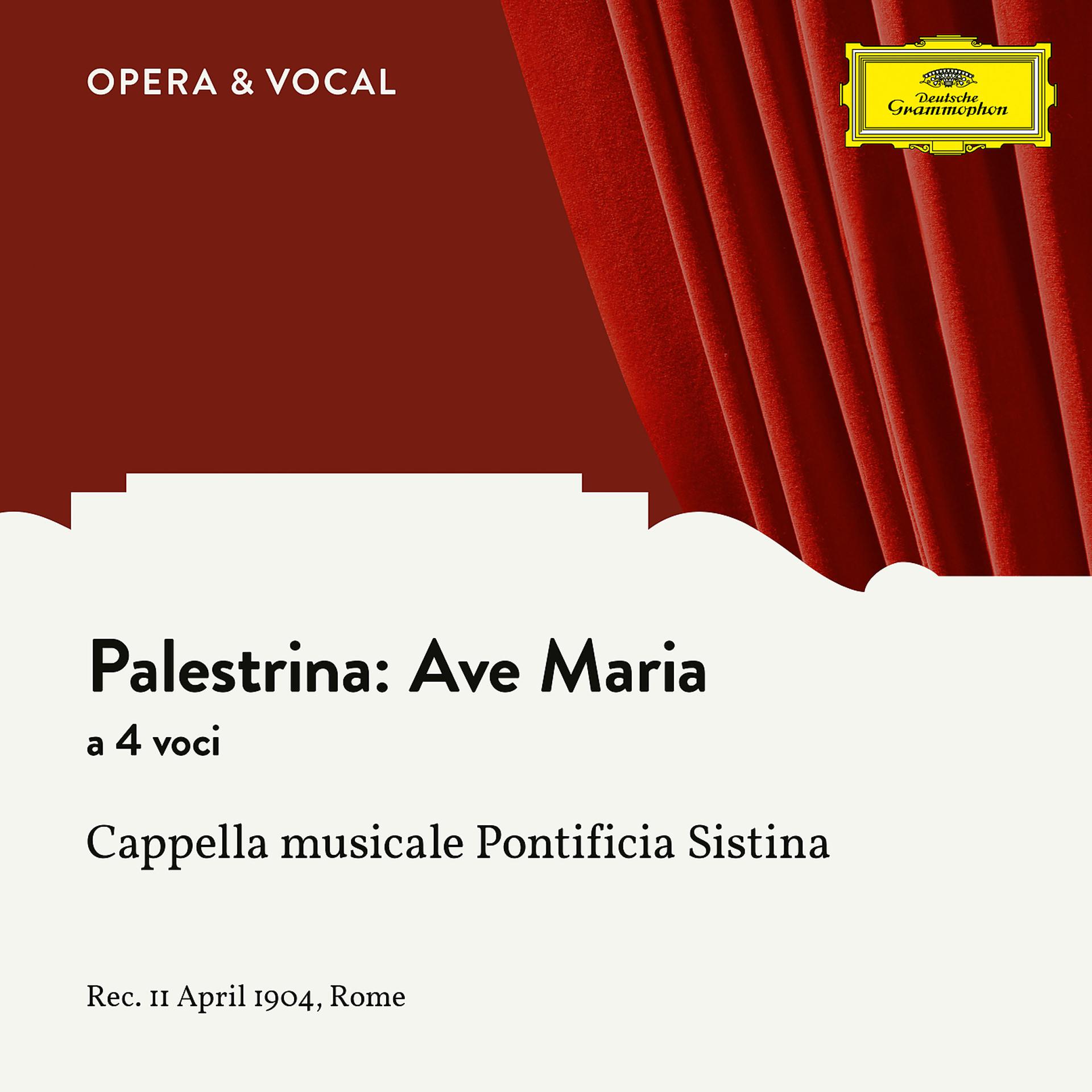 Постер альбома Palestrina: Ave Maria a 4 voci