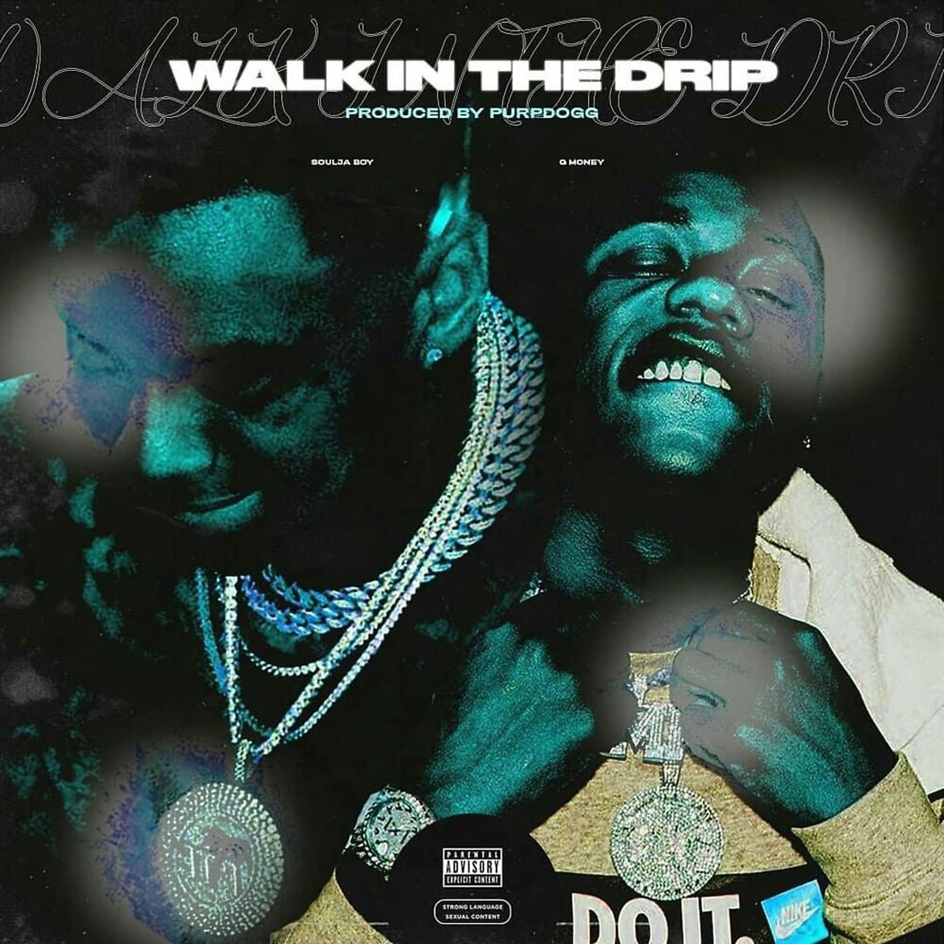 Постер альбома Walk in the Drip