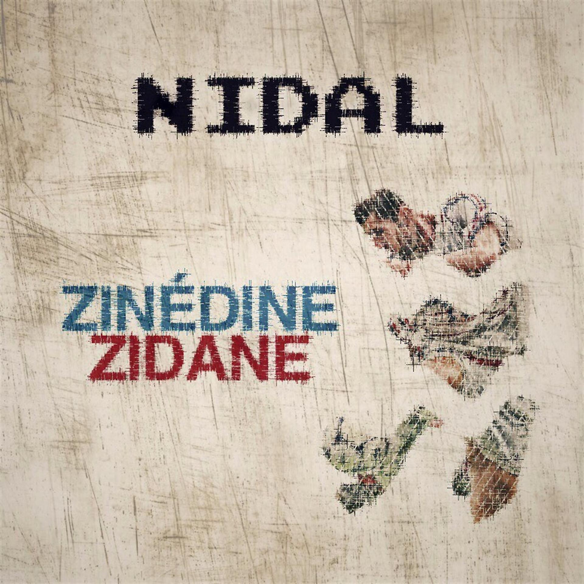 Постер альбома Zinédine zidane