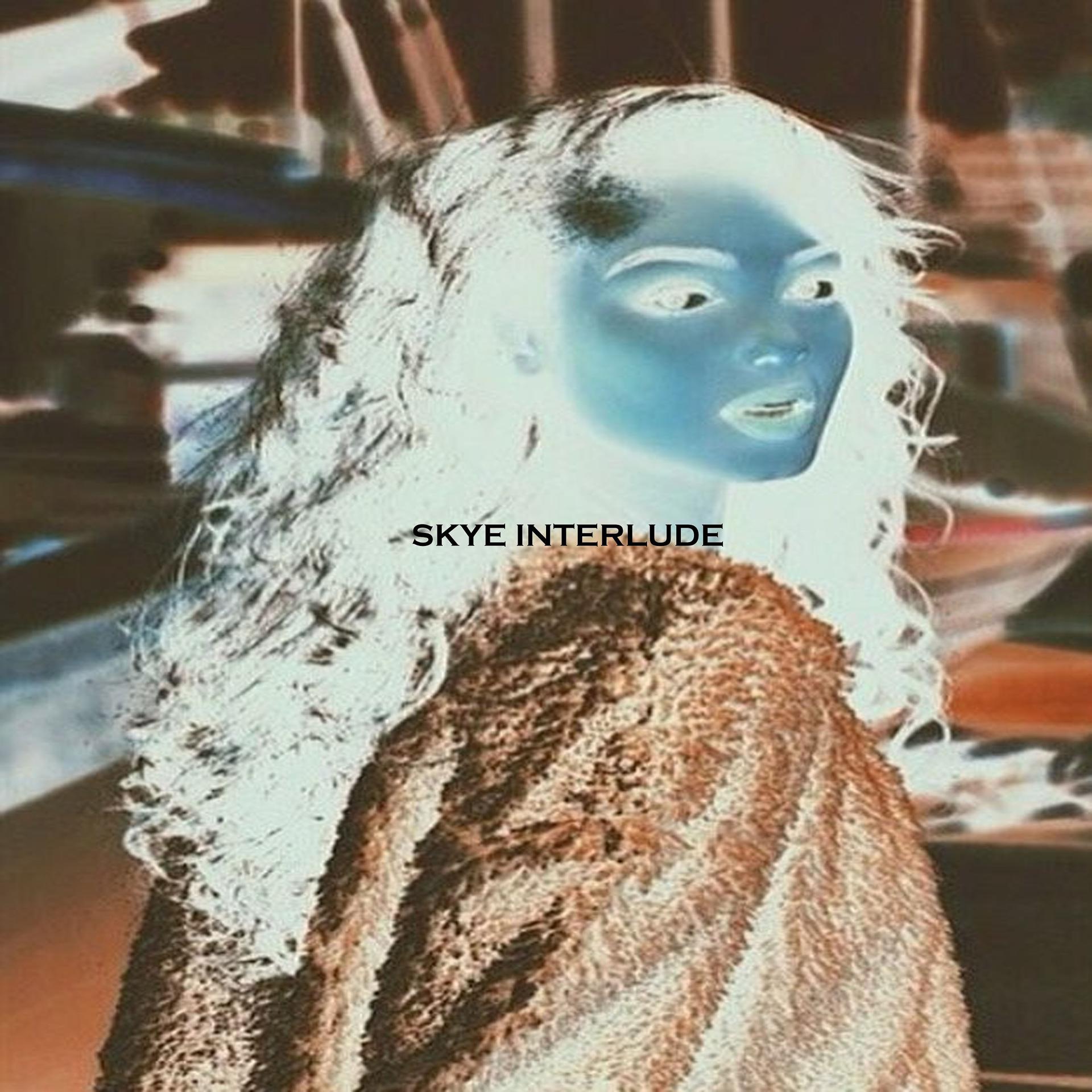 Постер альбома Skye Interlude