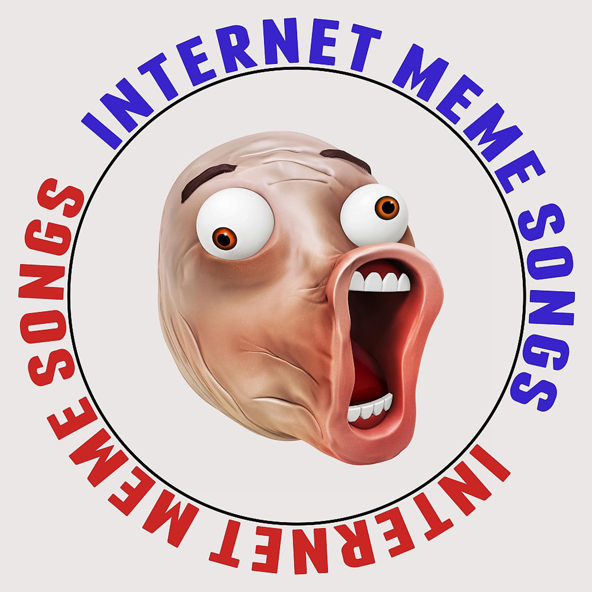 Постер альбома Internet Meme Songs