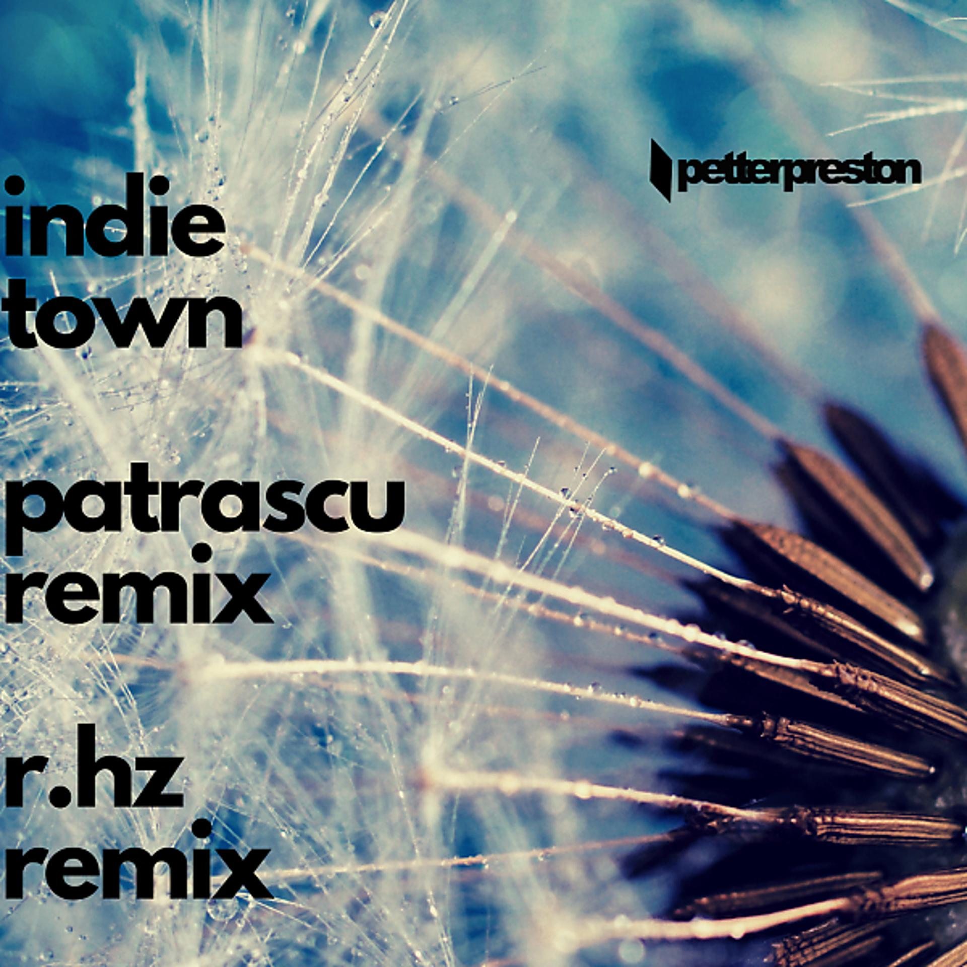 Постер альбома Indie Remixes, Pt. 2