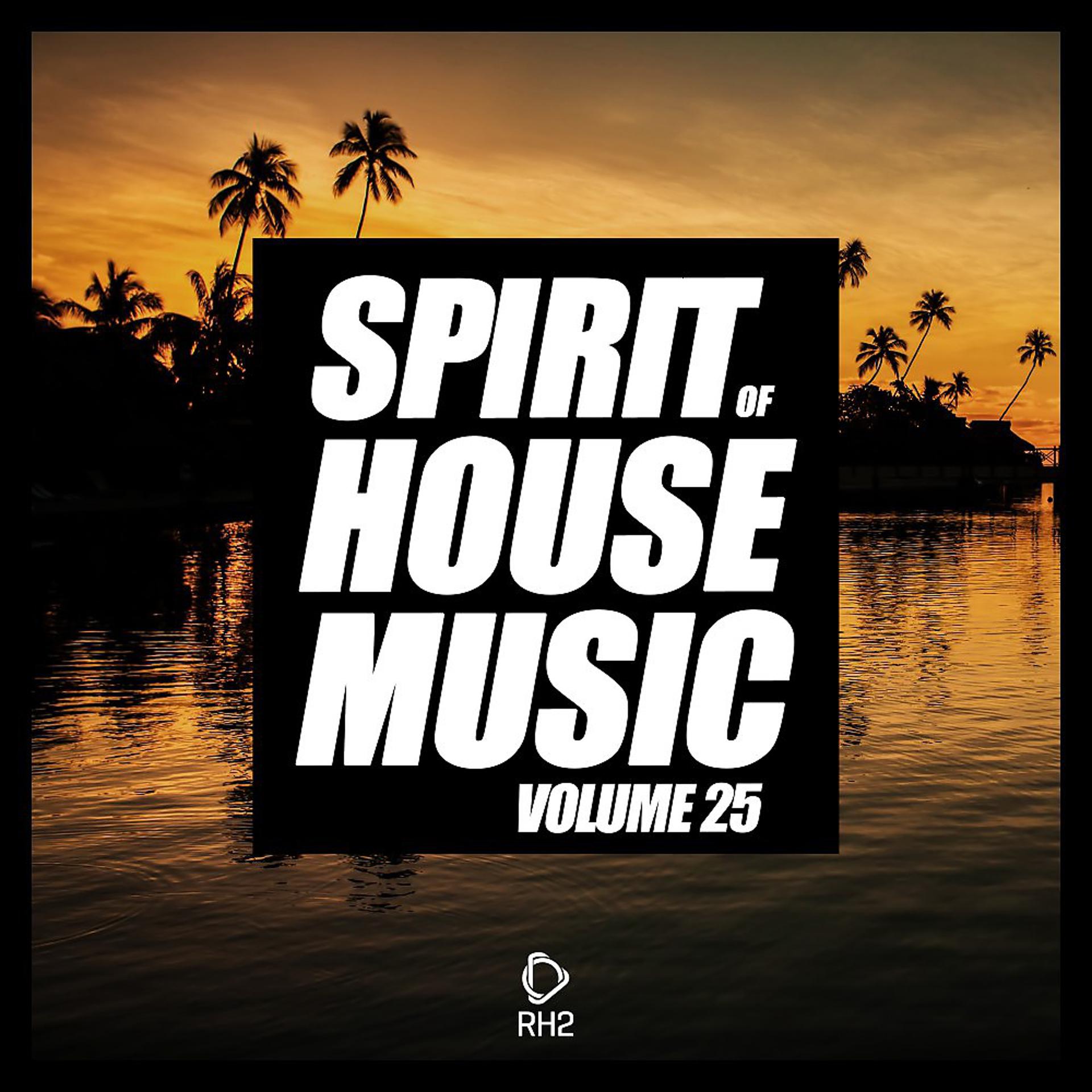 Постер альбома Spirit of House Music, Vol. 25