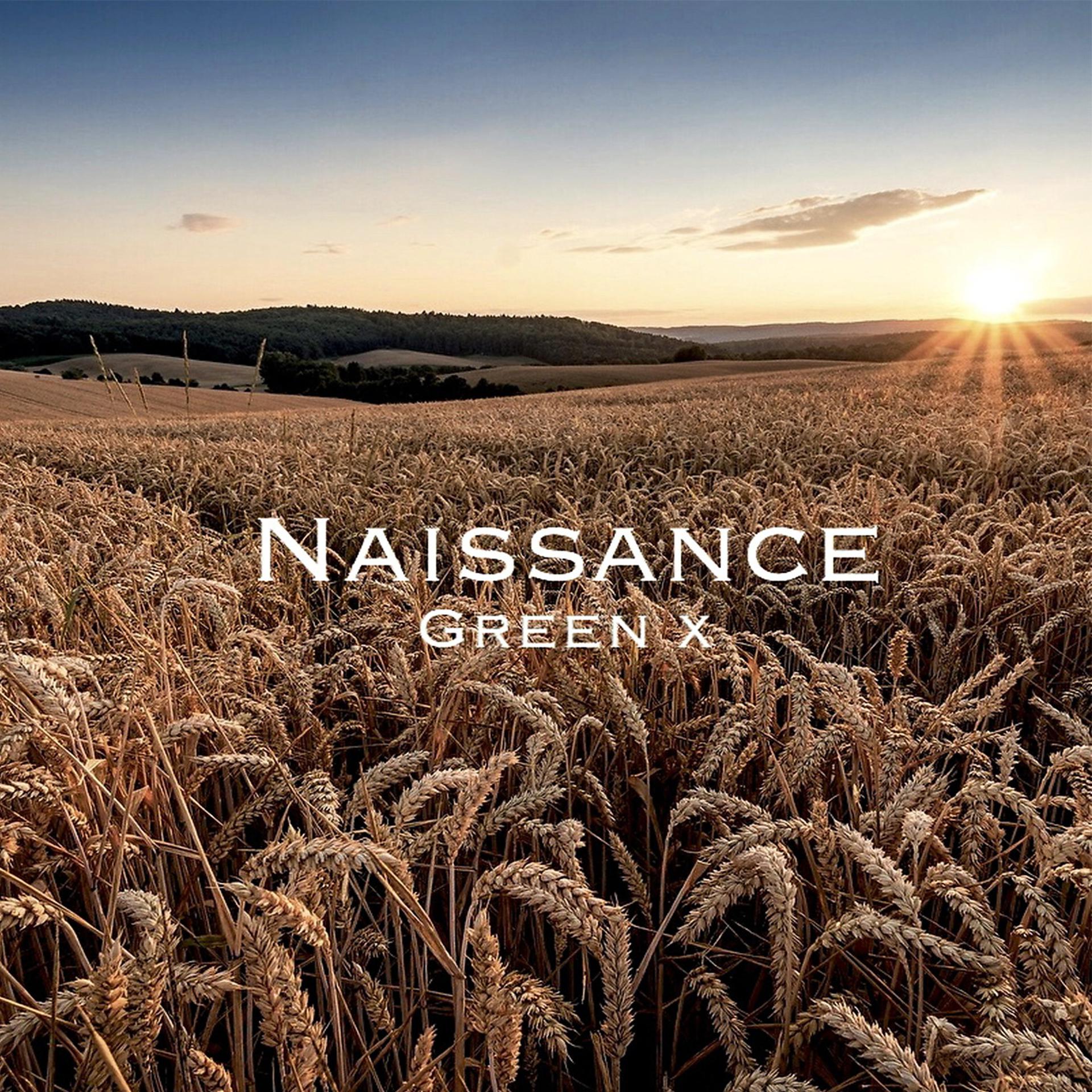 Постер альбома Naissance