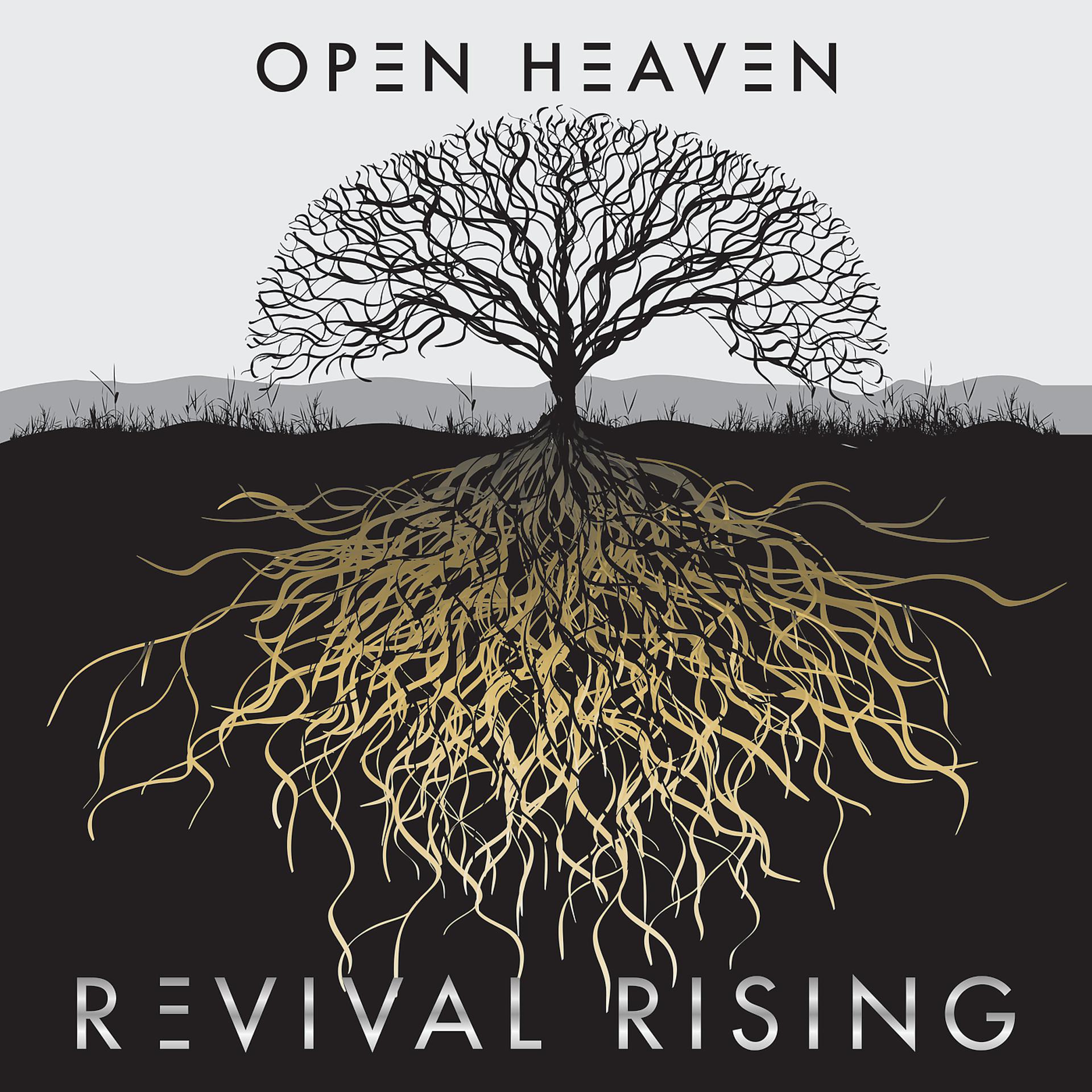 Постер альбома Revival Rising