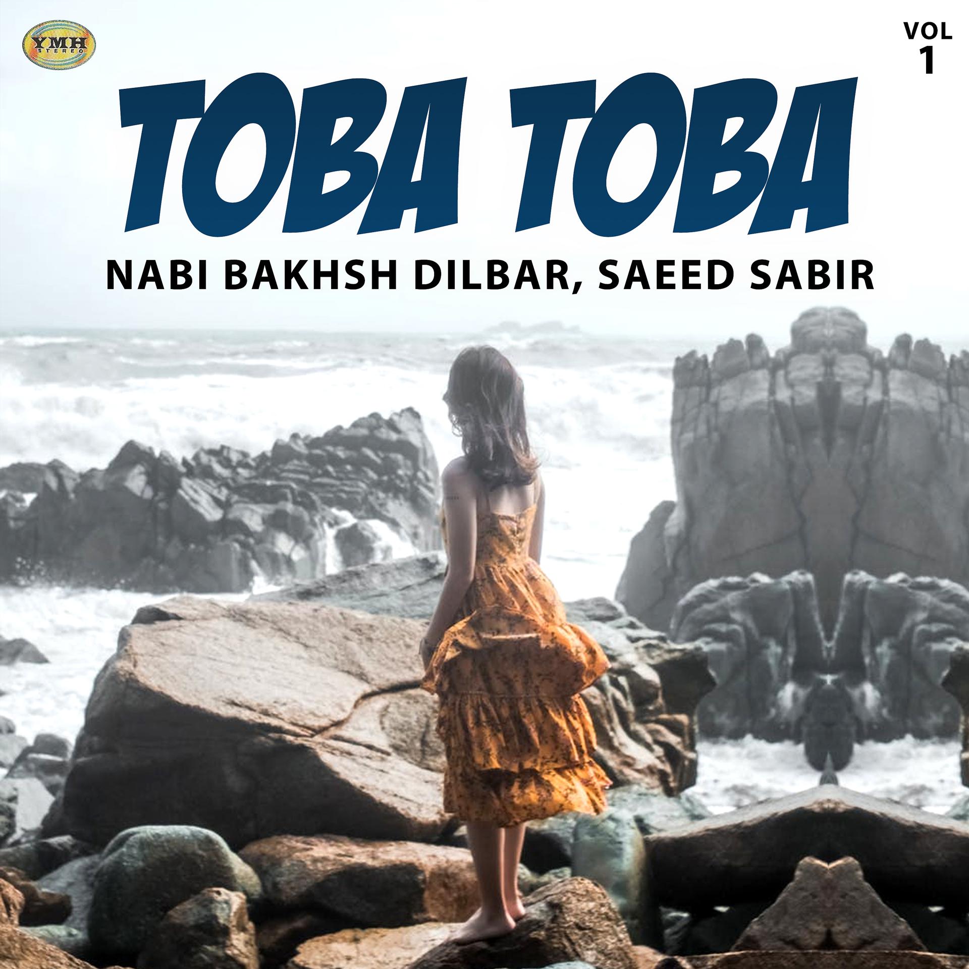Постер альбома Toba Toba, Vol. 1